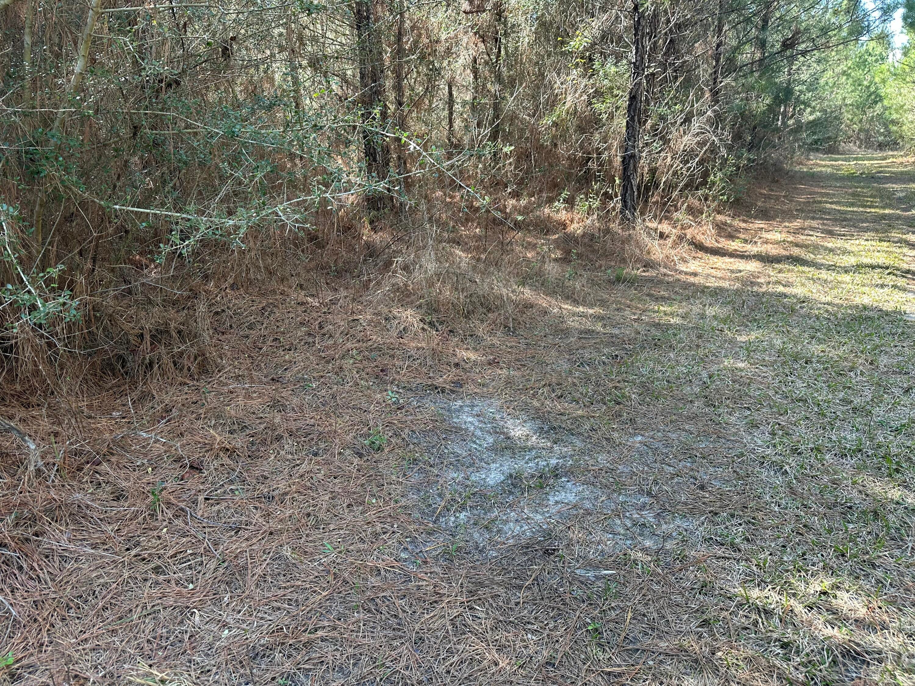 NO RECORDED SUBDIVISION - Land