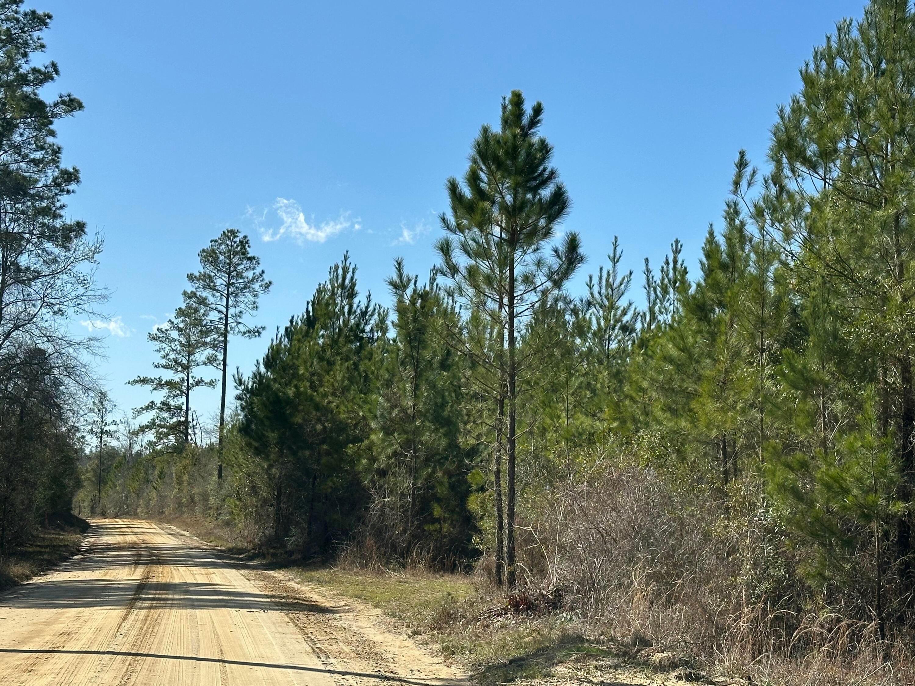 NO RECORDED SUBDIVISION - Land