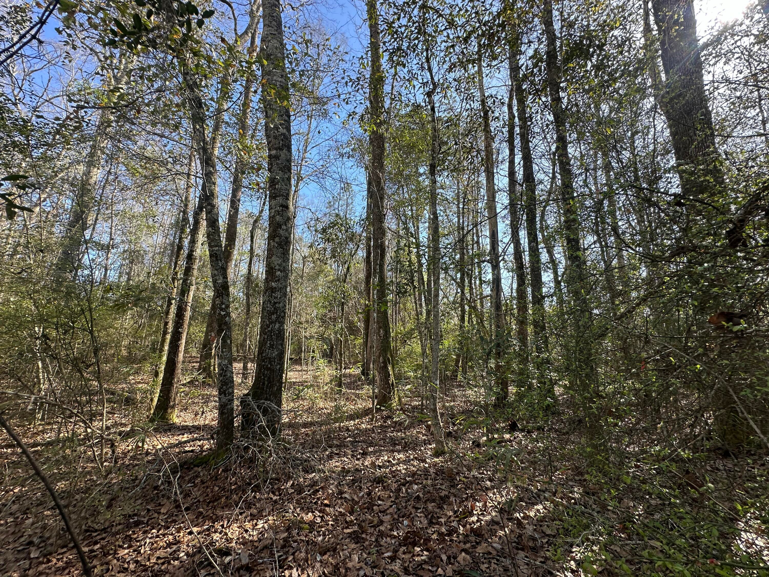 NO RECORDED SUBDIVISION - Land