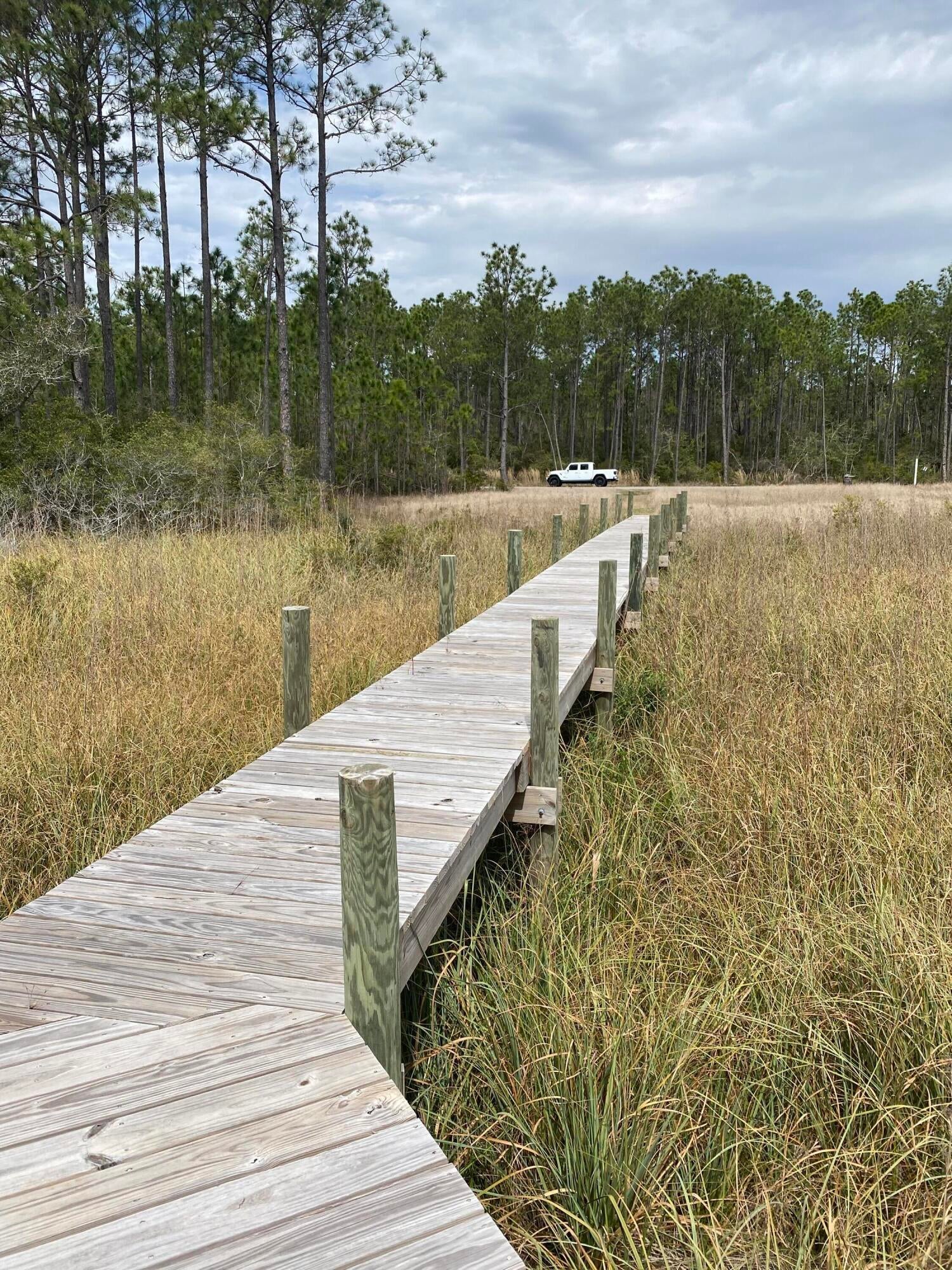 Sea Pines - Land