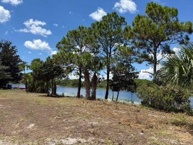 A PORTION OF LOT 29 S/D OF LOT 24-3S-20 - Land