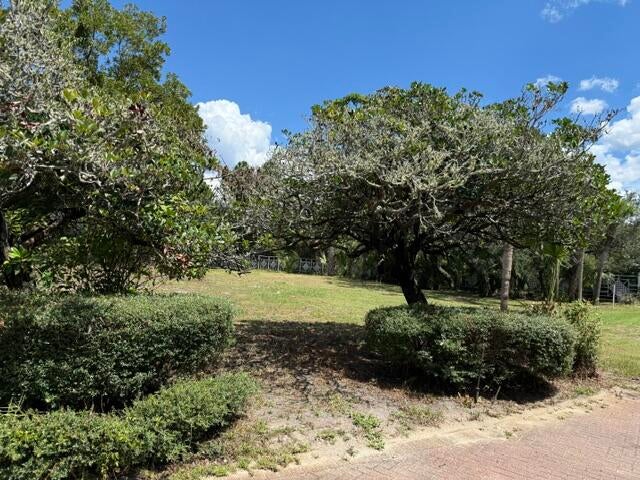 A PORTION OF LOT 29 S/D OF LOT 24-3S-20 - Land