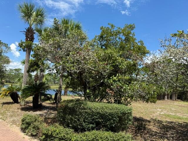 A PORTION OF LOT 29 S/D OF LOT 24-3S-20 - Land