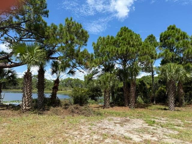 A PORTION OF LOT 29 S/D OF LOT 24-3S-20 - Land