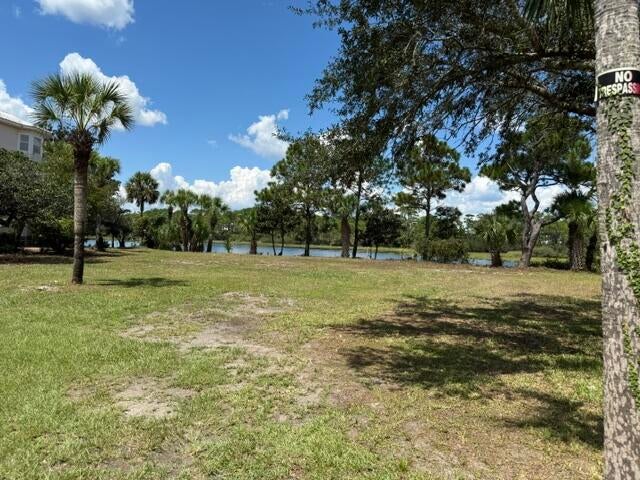 A PORTION OF LOT 29 S/D OF LOT 24-3S-20 - Land