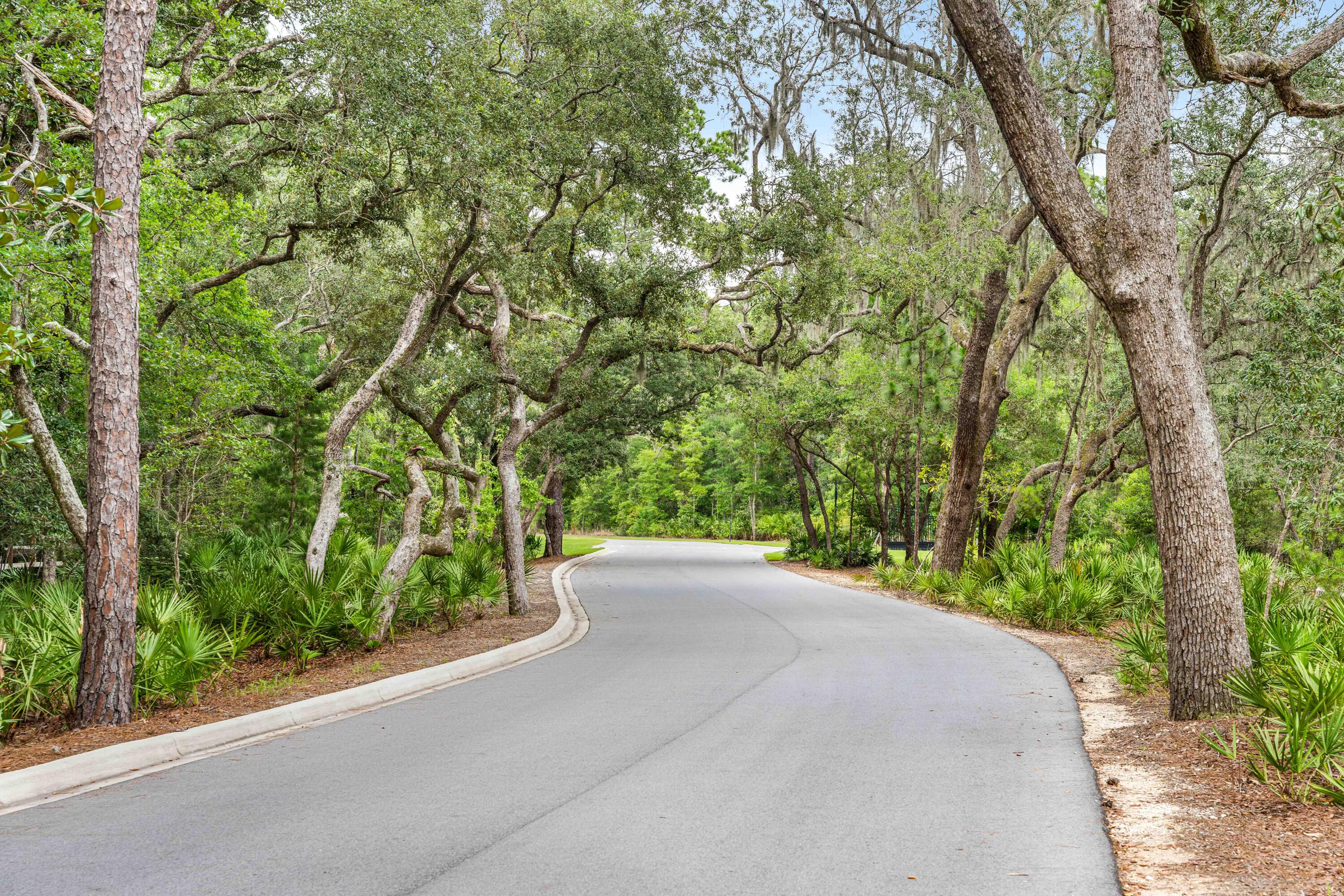 HAMMOCK BAY - STEAMBOAT LANDING - Residential