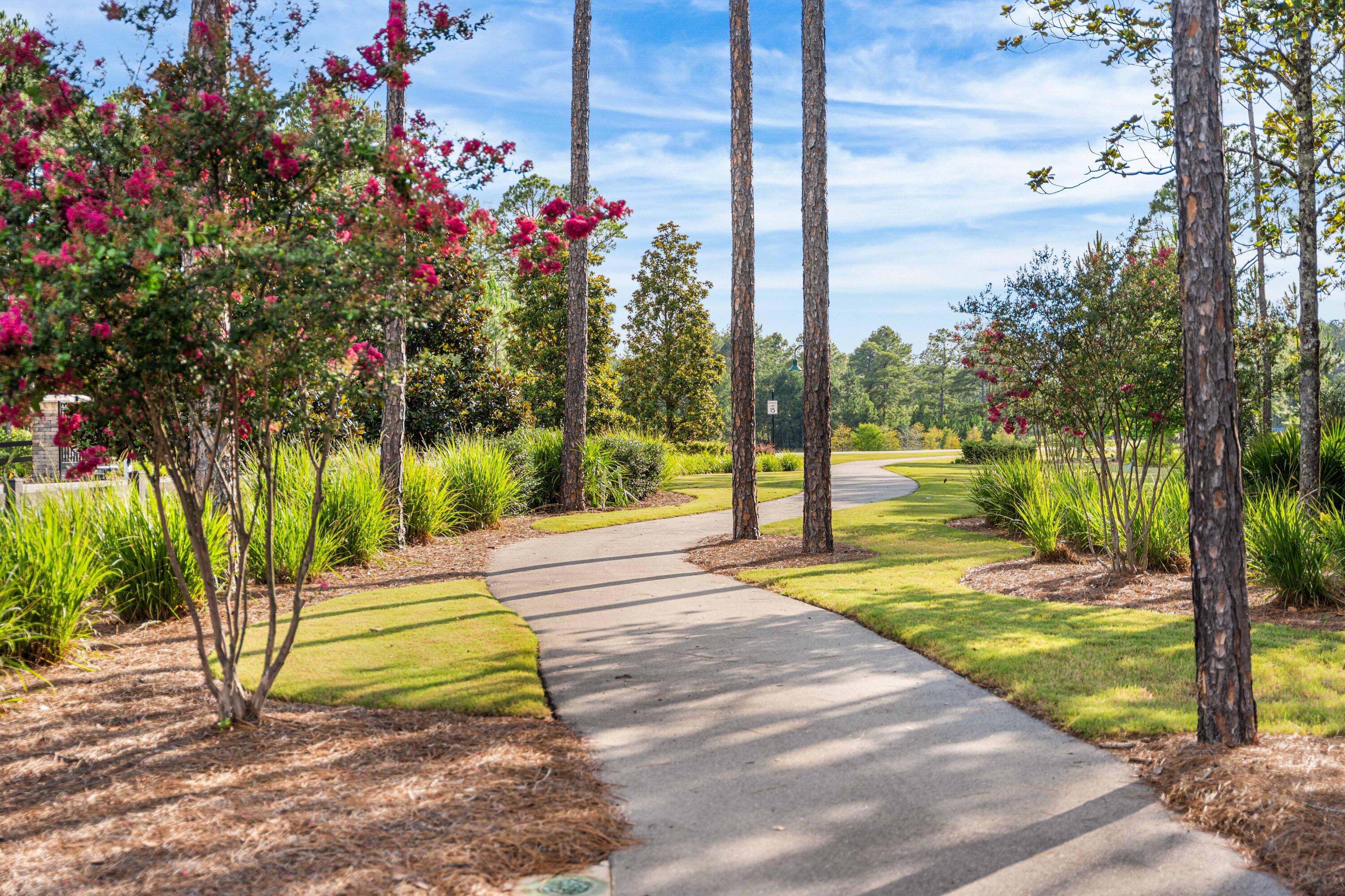 HAMMOCK BAY - STEAMBOAT LANDING - Residential