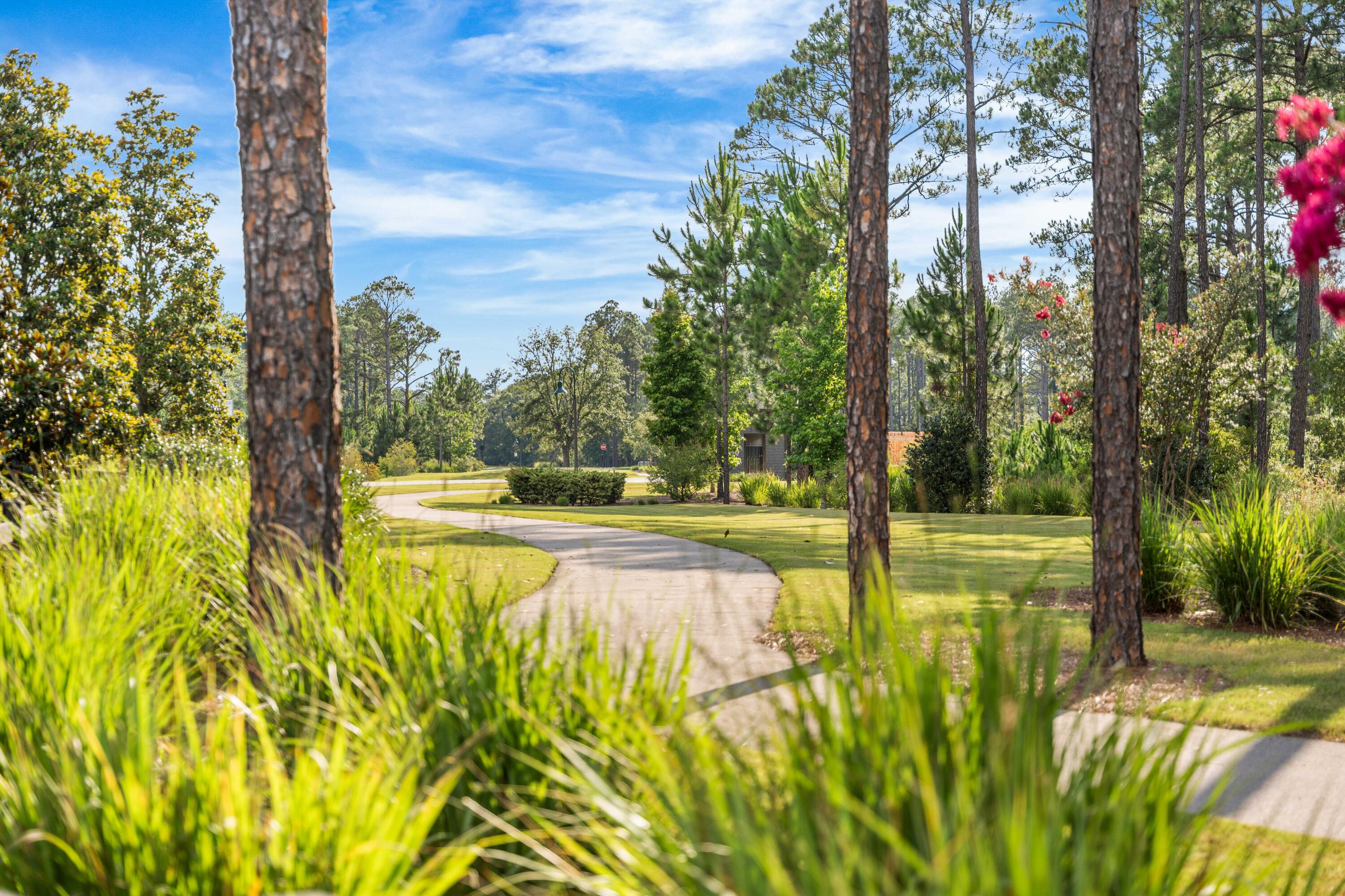 HAMMOCK BAY - STEAMBOAT LANDING - Residential