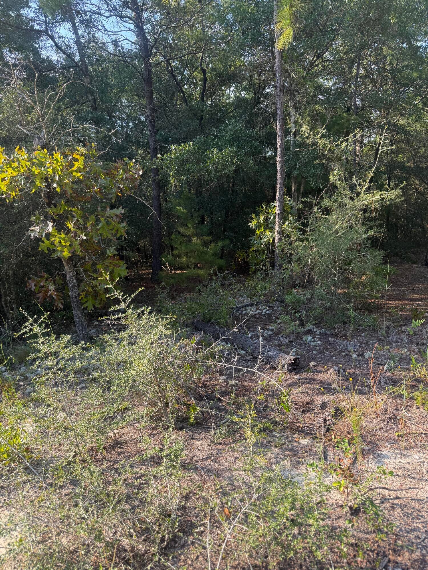 OAKWOOD HILLS UNIT 3 - Land