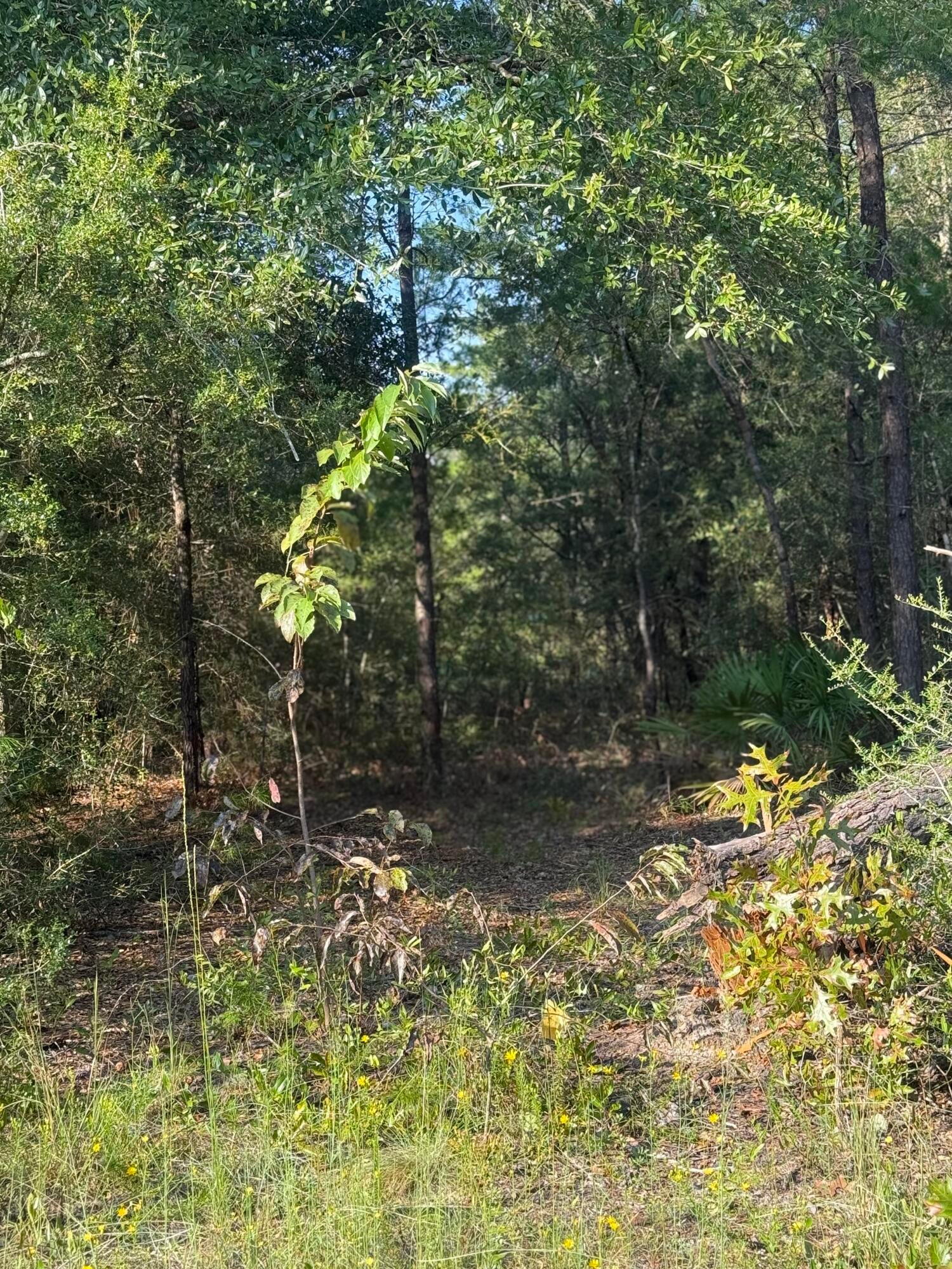 OAKWOOD HILLS UNIT 3 - Land