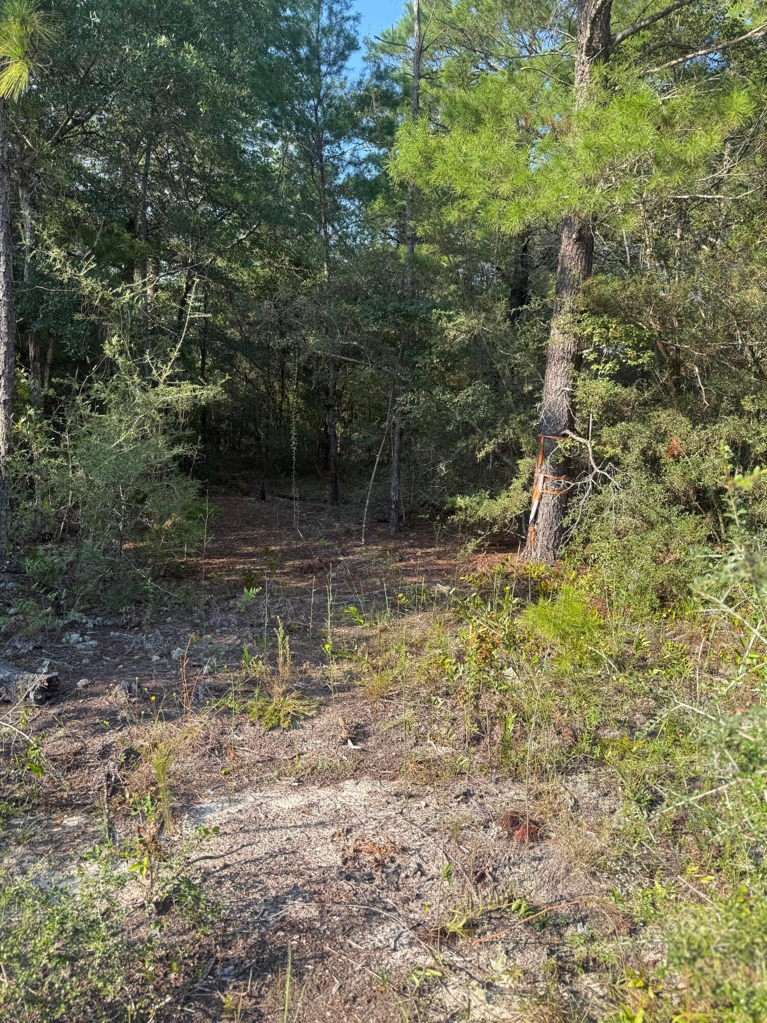 OAKWOOD HILLS UNIT 3 - Land