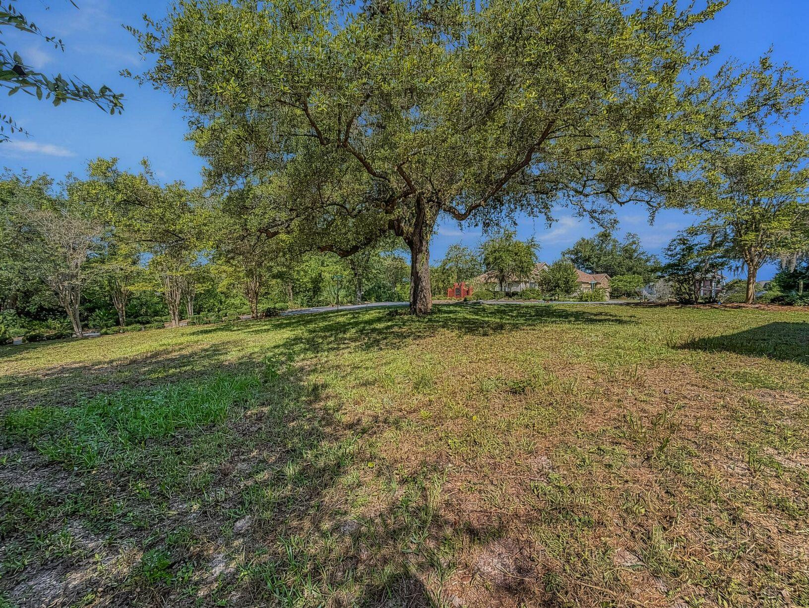 cove pointe - Land