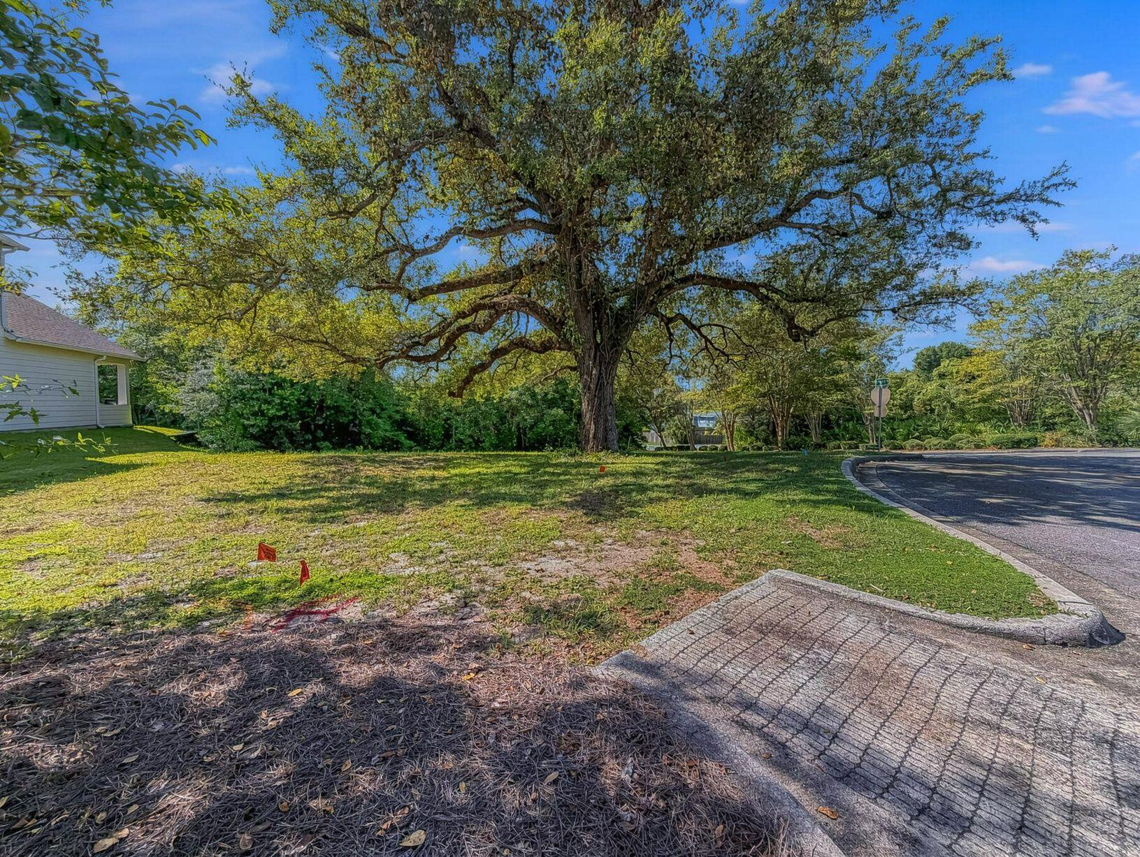 cove pointe - Land