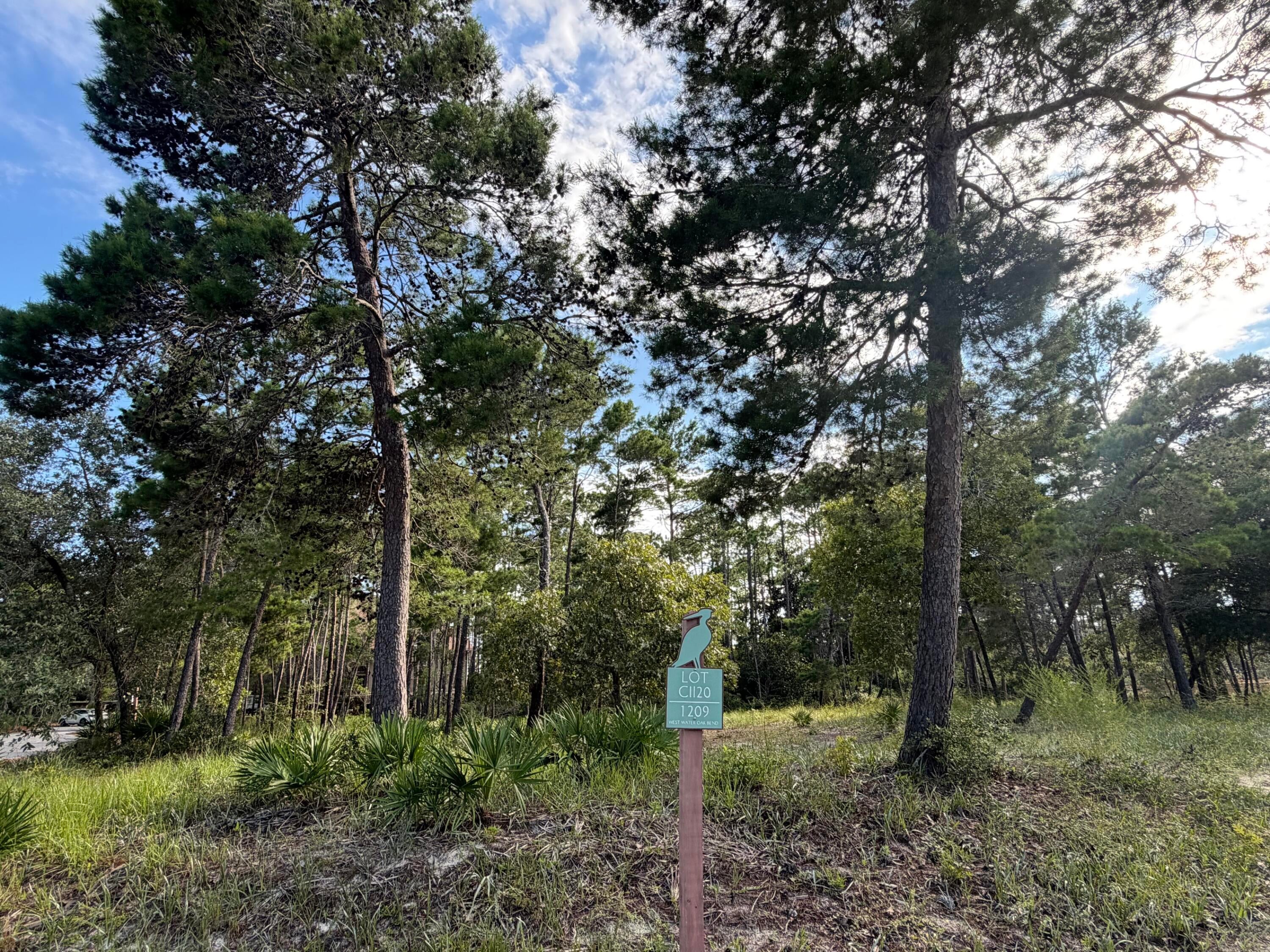 Corner lot in the gated community of Wild Heron in Phase II. The homesite is offered with a completed set of plans drafted by approved architect J. Michael Hunnicutt and landscape plans drafted and designed by Craig R. Thurmond & Associates.  Plans have been fully approved by the Wild Heron ARB.  

Design your own dream home or move forward with a set of plans that have been designed to accommodate entertaining family and friends, with additional space designed for two home offices.

Wild Heron is a 734-acre coastal sanctuary situated on the shores of Lake Powell in Bay County. Residents enjoy an array of exceptional amenities, including a lakeview swimming pool, a health and fitness center, a lakeside boardwalk, and an oak-filled family park. The lakefront boathouse is fully stocked with kayaks and canoes, allowing homeowners to explore Lake Powell, one of Florida's largest and rare coastal dune lakes. The boathouse also serves as the perfect spot for family gatherings, featuring gas grills, tree swings, a bonfire pit, and more. Sunsets from the docks at Wild Heron are truly unforgettable. For outdoor enthusiasts, Wild Heron offers endless opportunities to walk, bike, and explore. Its walking paths connect to Gayle's Trails, part of the Panama City Beach Conservation Park. Spanning 2,912 acres, the park features 24 miles of trails, a mile of boardwalk, a playground, and a gazebo at Prospect Point. Fishing, boating, sailing, and swimming are constant activities on Lake Powell.

Health and fitness are prioritized at Wild Heron, with a lakeside state-of-the-art fitness center that includes treadmills, stationary bikes, stair climbers, free weights, and Nautilus machines, along with locker rooms and showers.  Golf enthusiasts, with an optional membership to St Joe Watersound Club, can enjoy three courses, two of which are adjacent to Wild Heron - The Third, a brand-new 18-hole golf course designed by Davis Love III, located north of Shark's Tooth Golf Course. Greg Norman-designed Shark's Tooth Golf Course, is rated one of the Top 5 Golf Courses in Florida. Stretching 7,209 yards from the back tees, the course borders the shores of Lake Powell, with five lakefront fairways, water-facing holes, and scenic cart path bridges over streams and estuaries.

The thoughtful design of the homes and amenities in Wild Heron provides timeless character, a strong sense of place, and a connection to tradition, making it a truly one-of-a-kind community. Experience the epitome of coastal living in Wild Heron.
