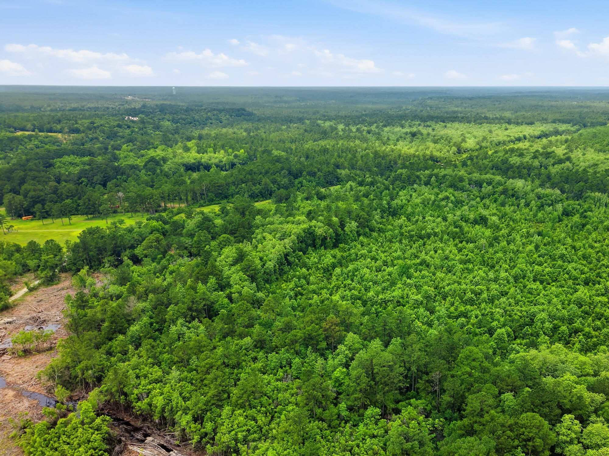 A Rare Opportunity to Purchase a Fully Operational Hunting Ranch with Proven Income Potential. Everyone thinks of Florida for its beaches--but seasoned outdoorsmen know some of the state's greatest treasures are hidden in its woods.
Welcome to 43 acres of established, income-producing hunting land in Mossy Head, Florida. This isn't just recreational property--it's a fully operational hunting ranch with a proven track record and the opportunity for the existing business to transfer with the sale.
Designed and managed to attract abundant wildlife, the property is home to thriving populations of deer, hogs, and turkey. Multiple hunting blinds are already in place, allowing the next owner to step in and immediately enjoy the land or continue operating the hunting business from day one.
Adding to its uniqueness, the property features a crawfish pond and a natural cold-water spring flowing through the land, creating an exceptional habitat for wildlife while providing a rare and beautiful natural feature seldom found on hunting properties in Northwest Florida.
Whether you're searching for a private hunting retreat, an income-producing outdoor business, a recreational investment, or a legacy property to enjoy for generations, this ranch offers endless possibilities.
Opportunities to purchase a turnkey hunting operation with established wildlife, natural water sources, existing infrastructure, and business potential are incredibly rare.  Own your piece of Old Florida and experience the freedom, adventure, and investment potential that only a property like this can provide.
The land. The wildlife. The business. The opportunity.