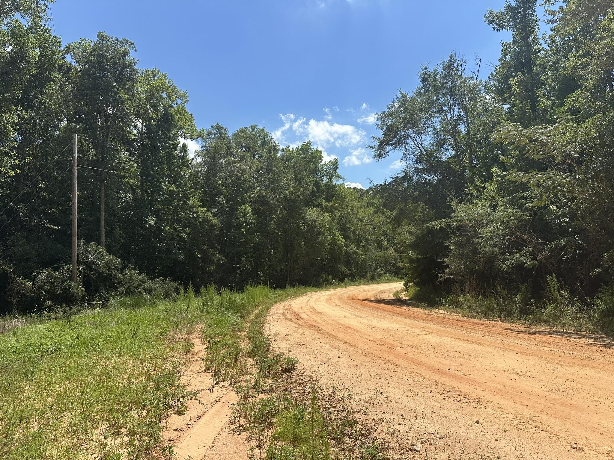Amelia Estates - Covington County, AL - Land