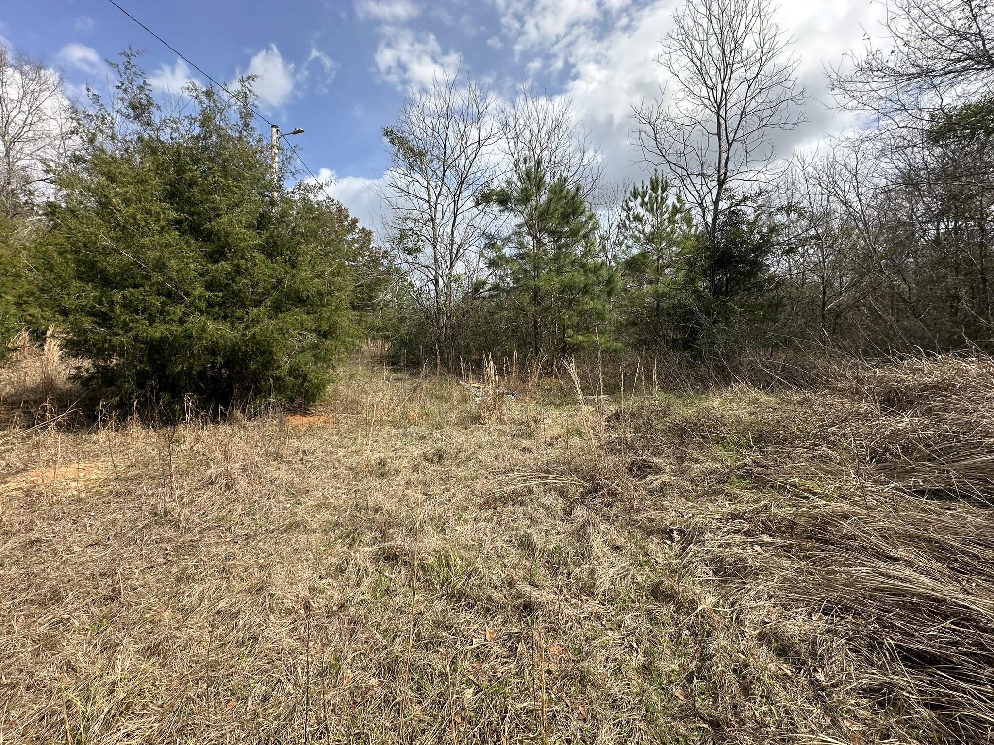 Amelia Estates - Covington County, AL - Land