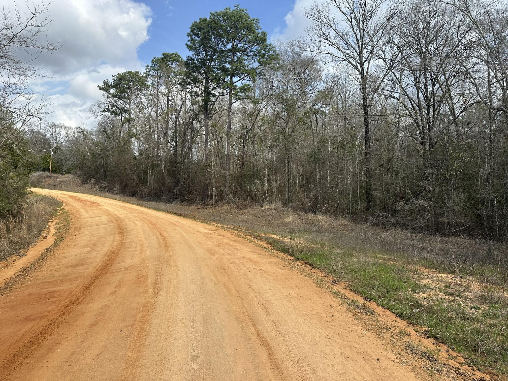 Amelia Estates - Covington County, AL - Land