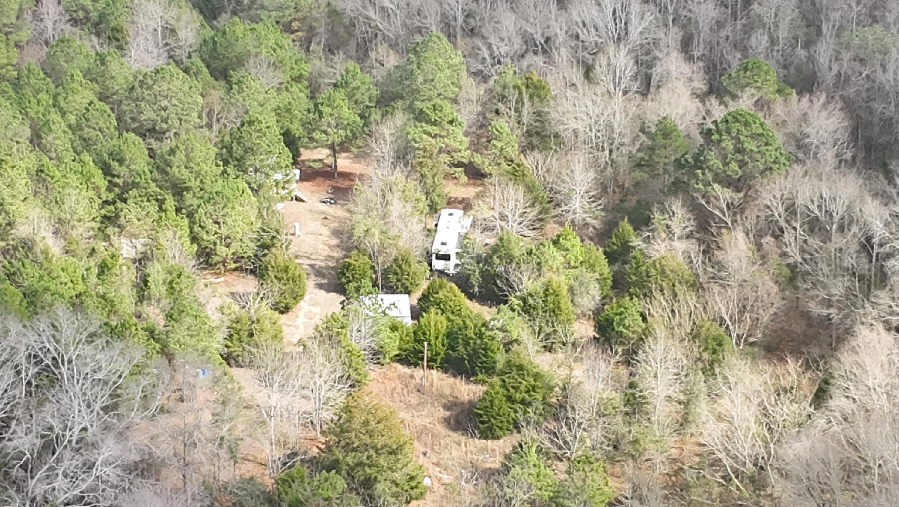 Amelia Estates - Covington County, AL - Land