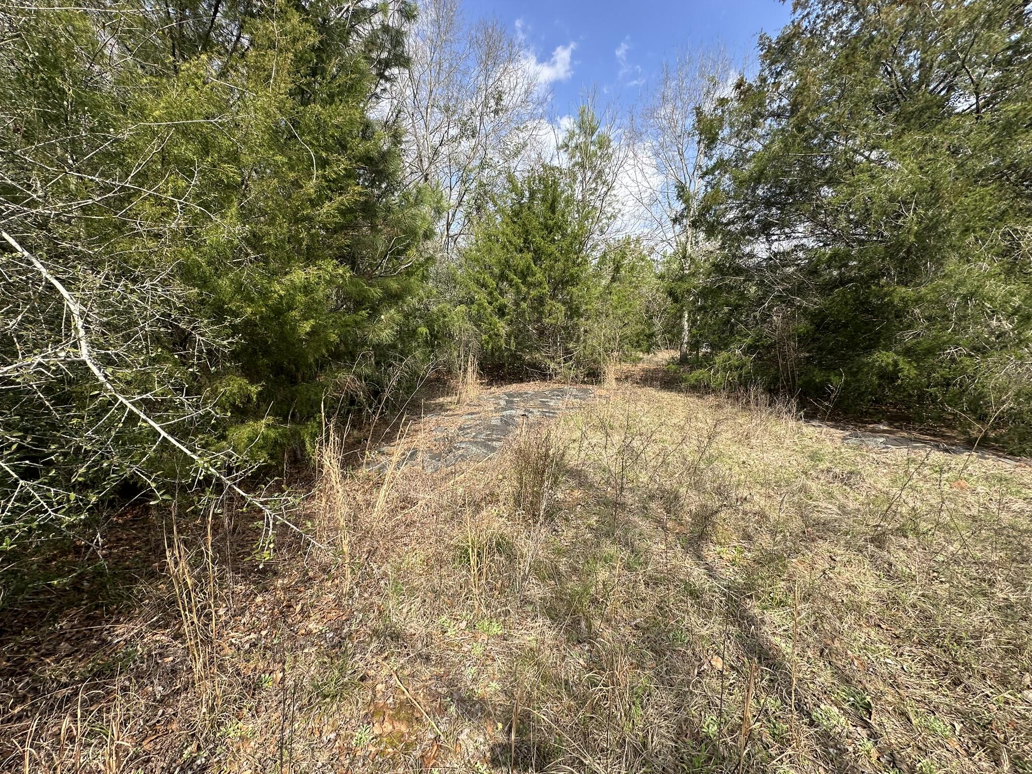 Amelia Estates - Covington County, AL - Land