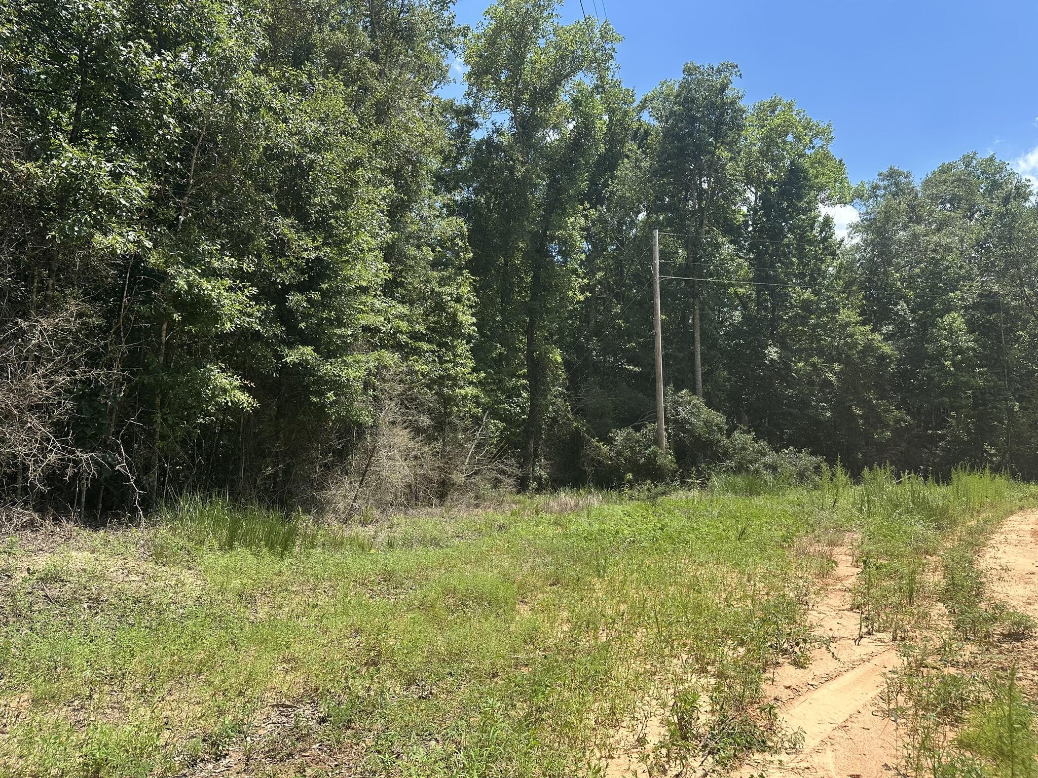 Amelia Estates - Covington County, AL - Land