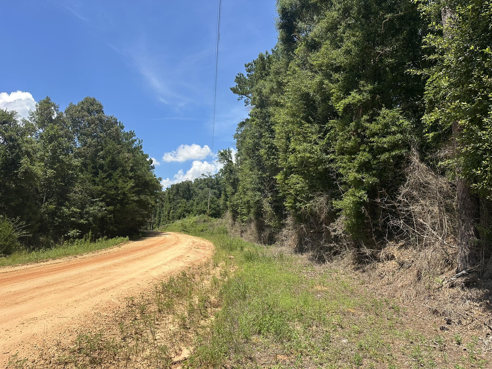 Amelia Estates - Covington County, AL - Land