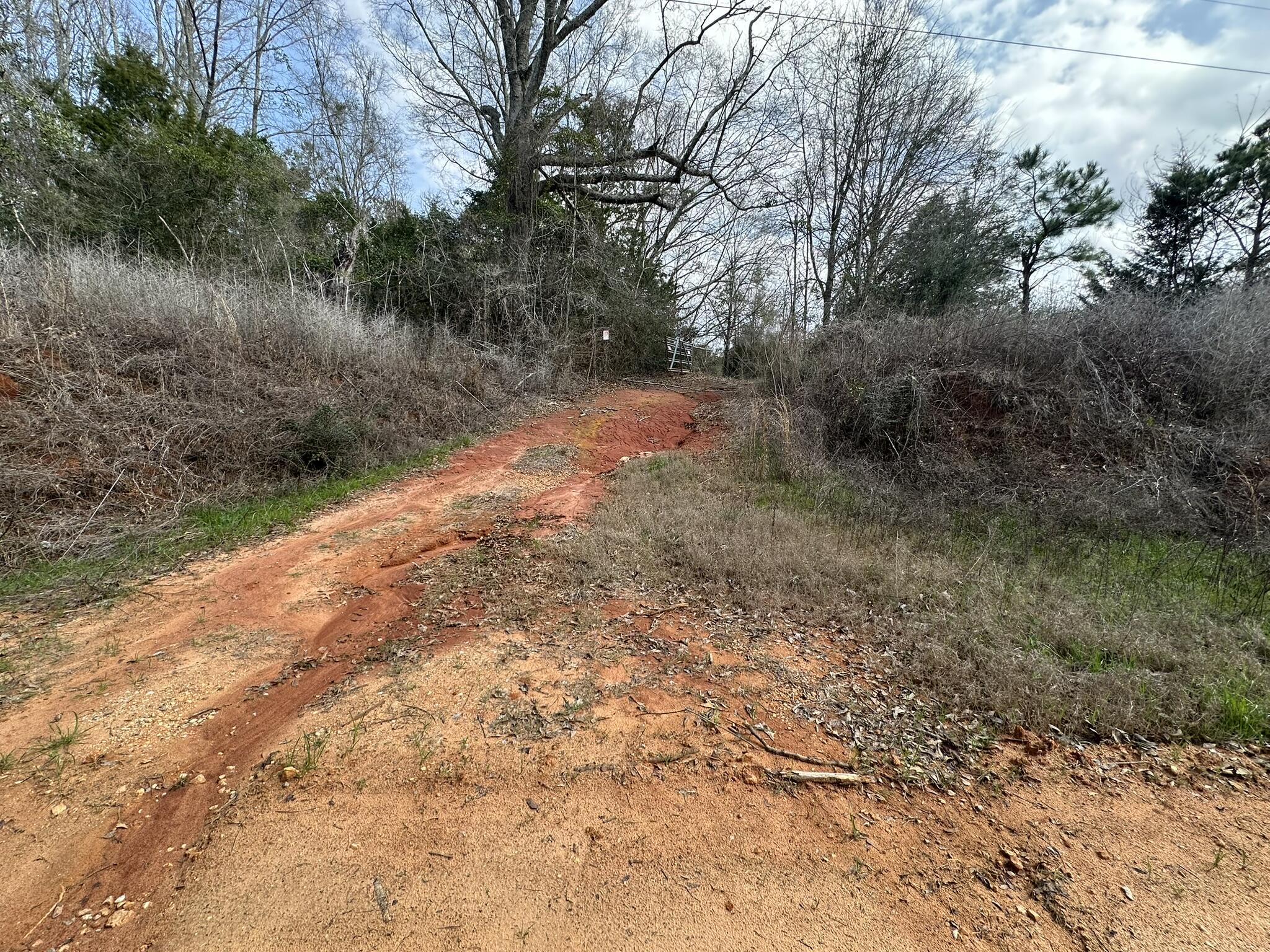 Amelia Estates - Covington County, AL - Land