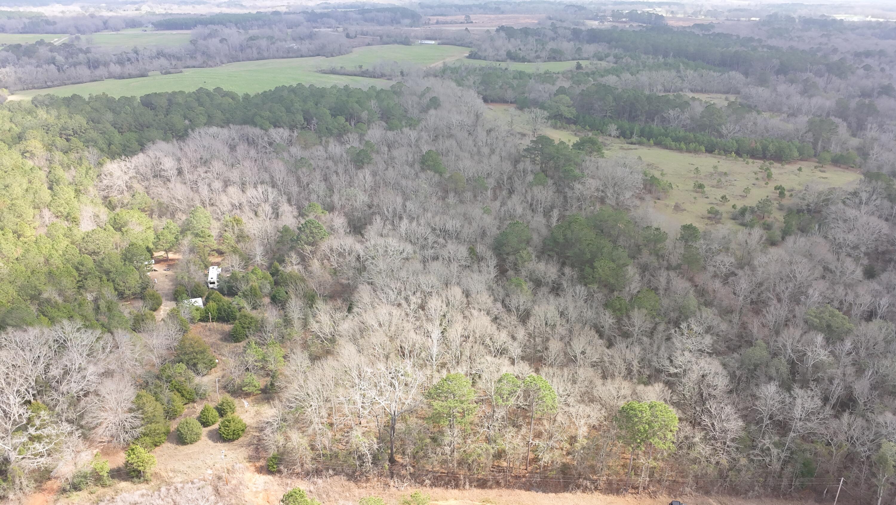 Amelia Estates - Covington County, AL - Land