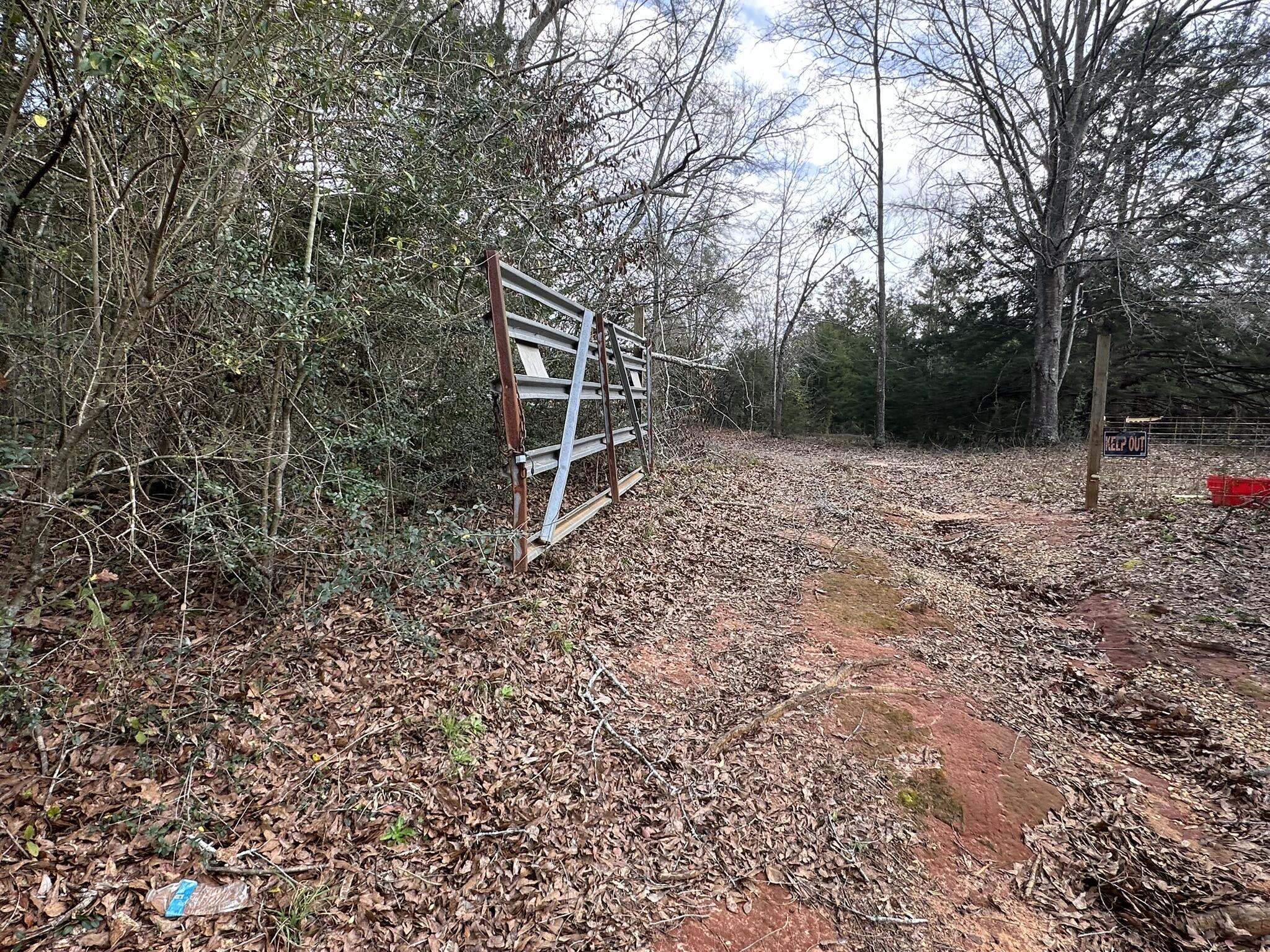 Amelia Estates - Covington County, AL - Land