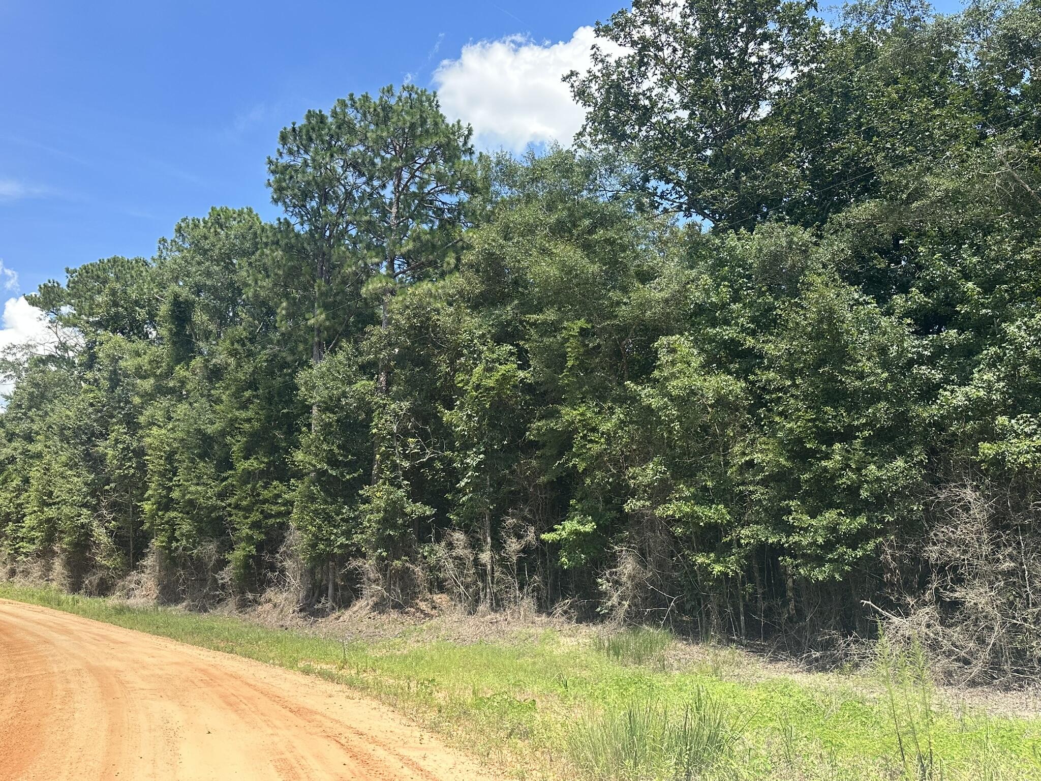 Amelia Estates - Covington County, AL - Land