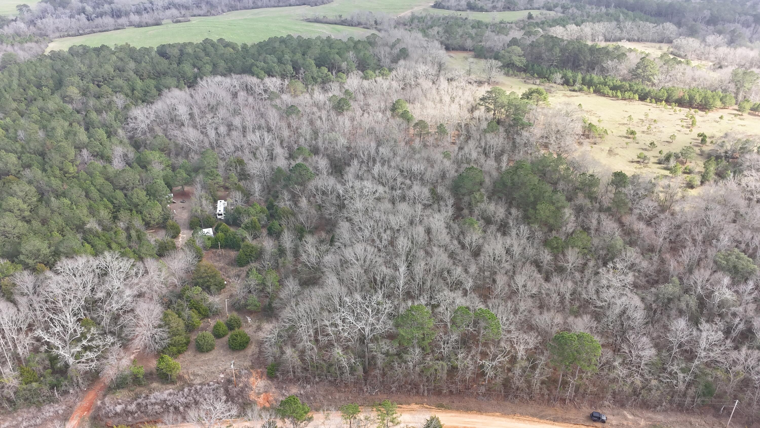 Amelia Estates - Covington County, AL - Land