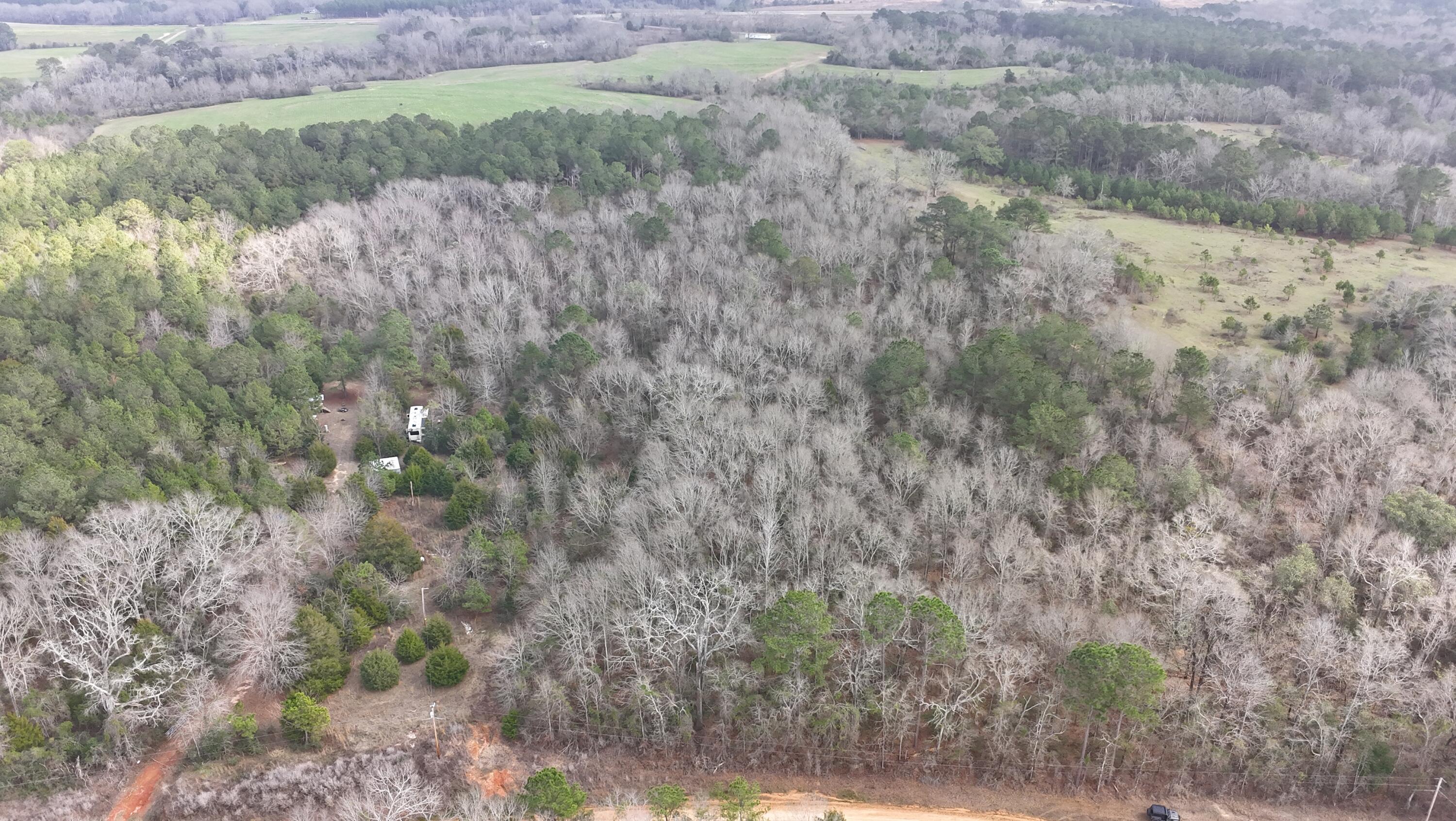 Amelia Estates - Covington County, AL - Land