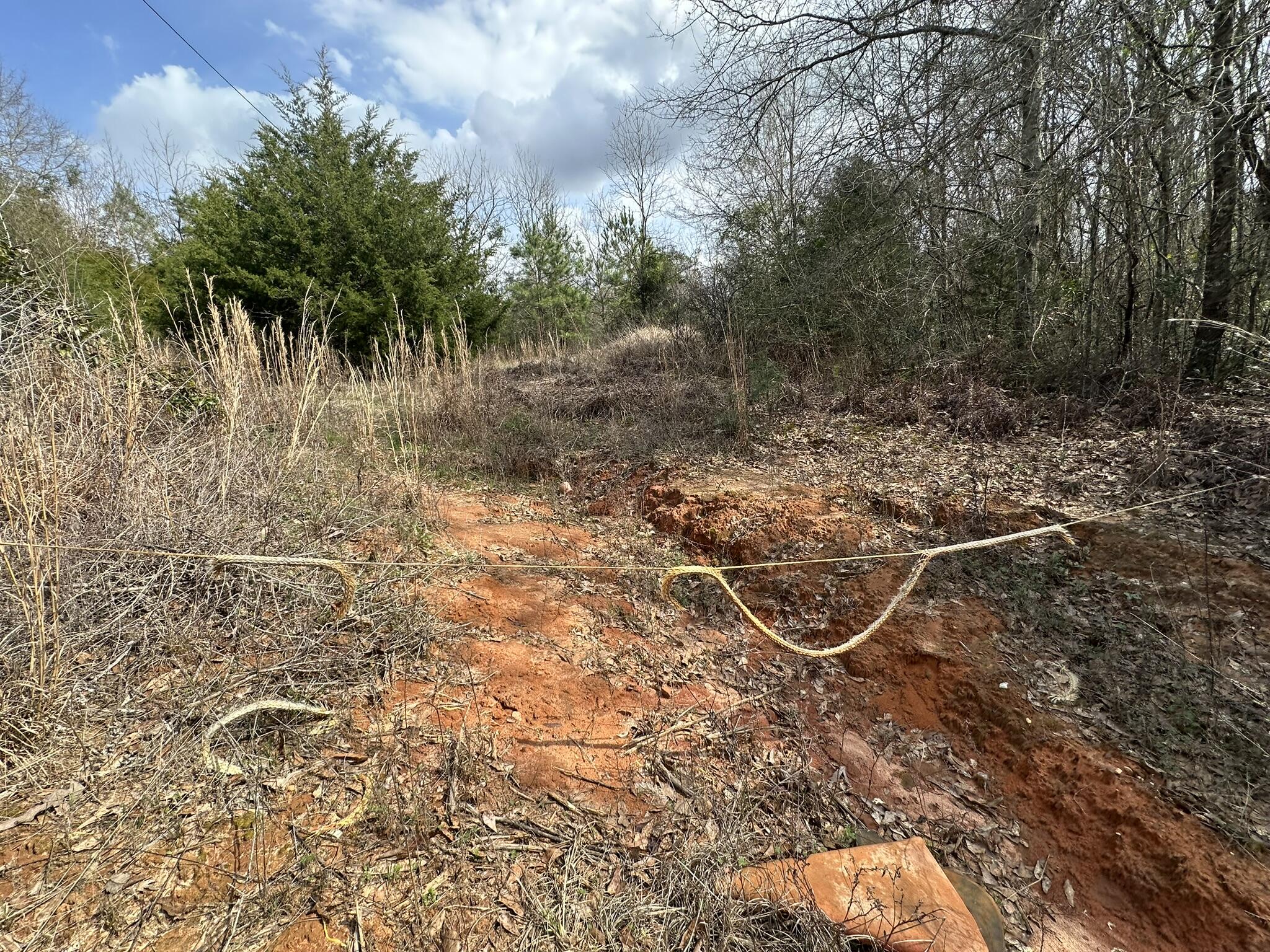 Amelia Estates - Covington County, AL - Land
