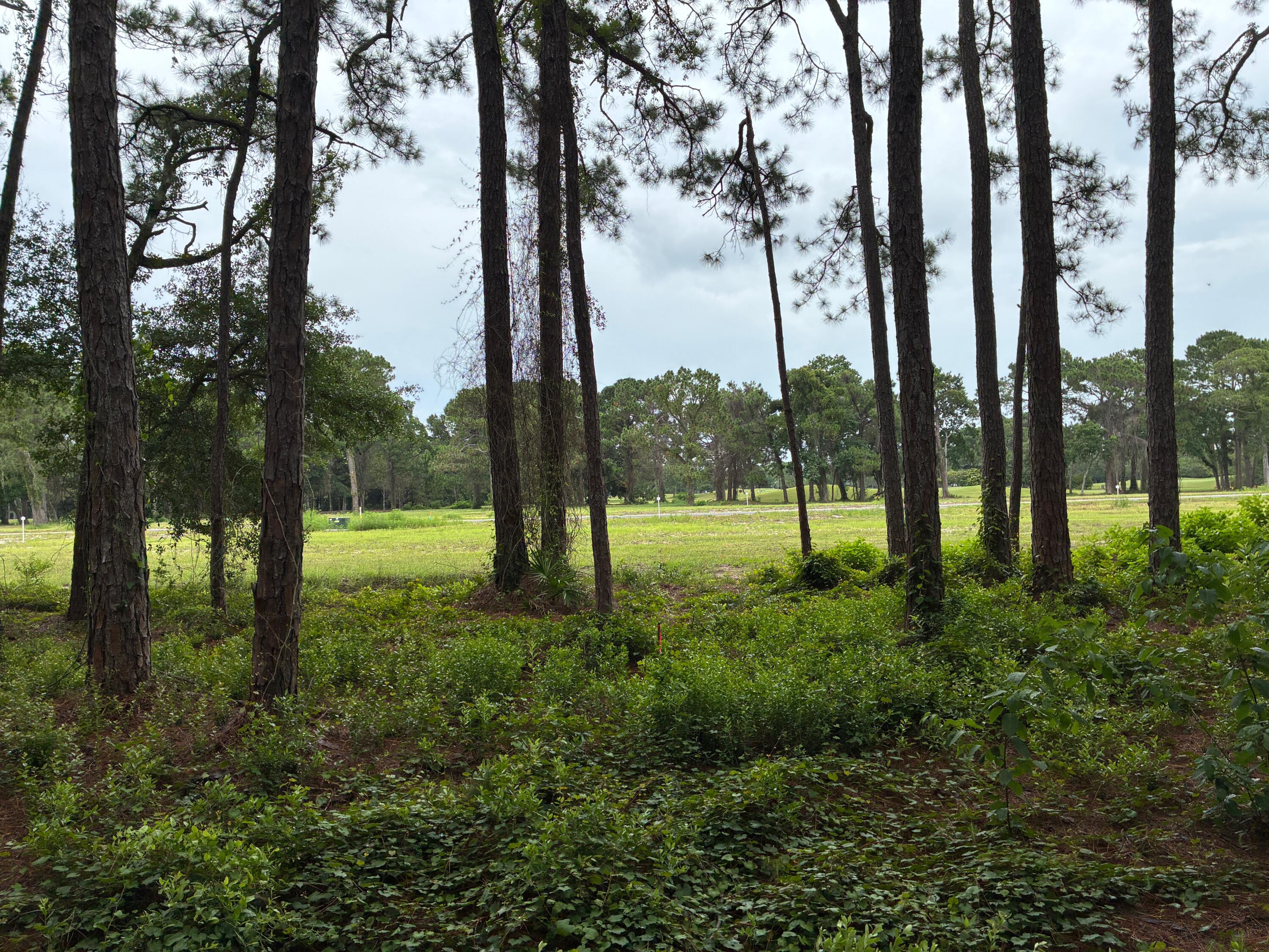Indian Bayou West - Land