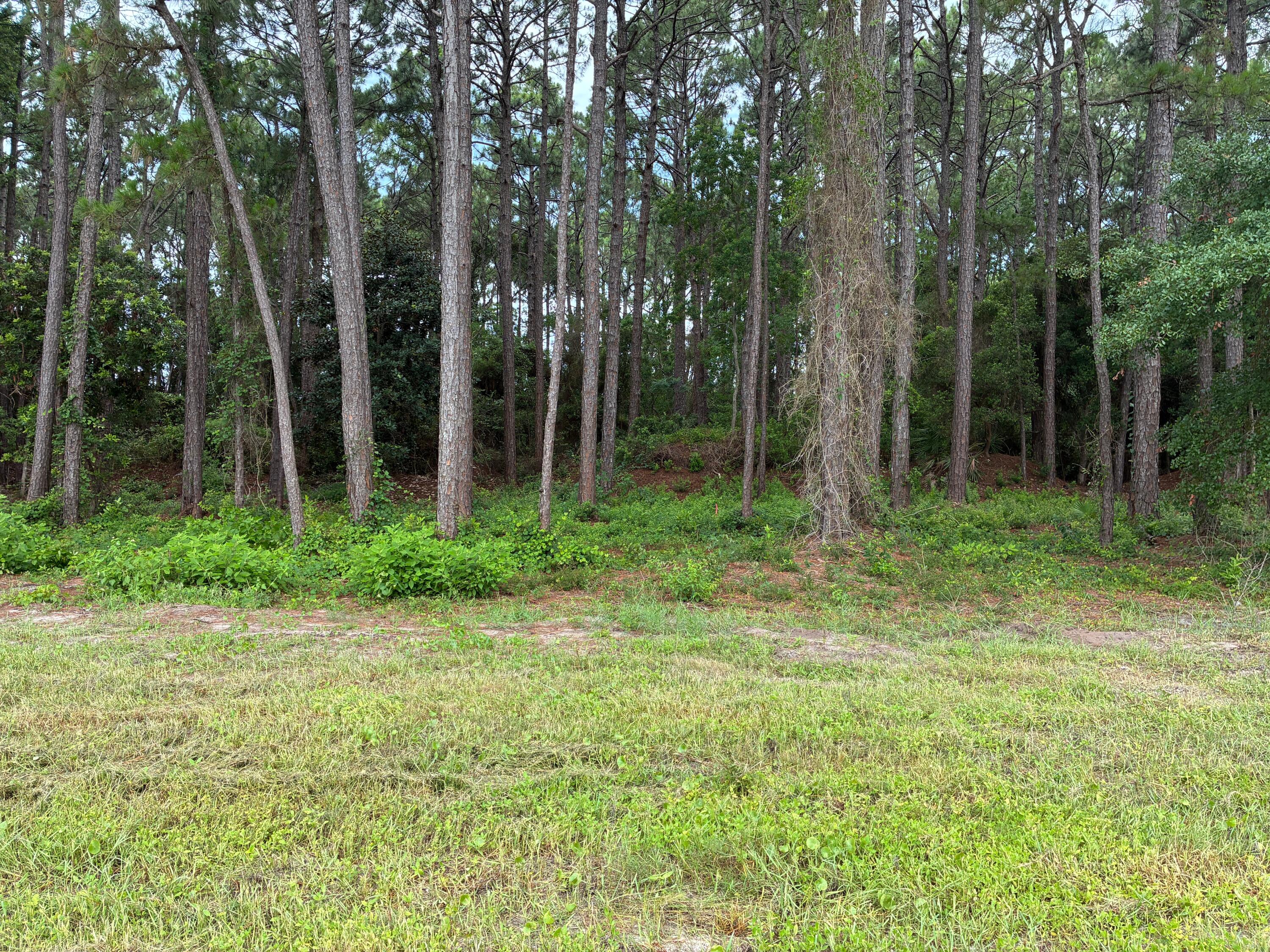 Indian Bayou West - Land