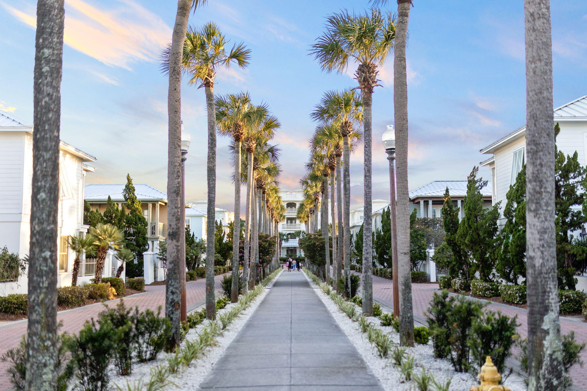 ALEXANDER AT PALM COURT - Residential