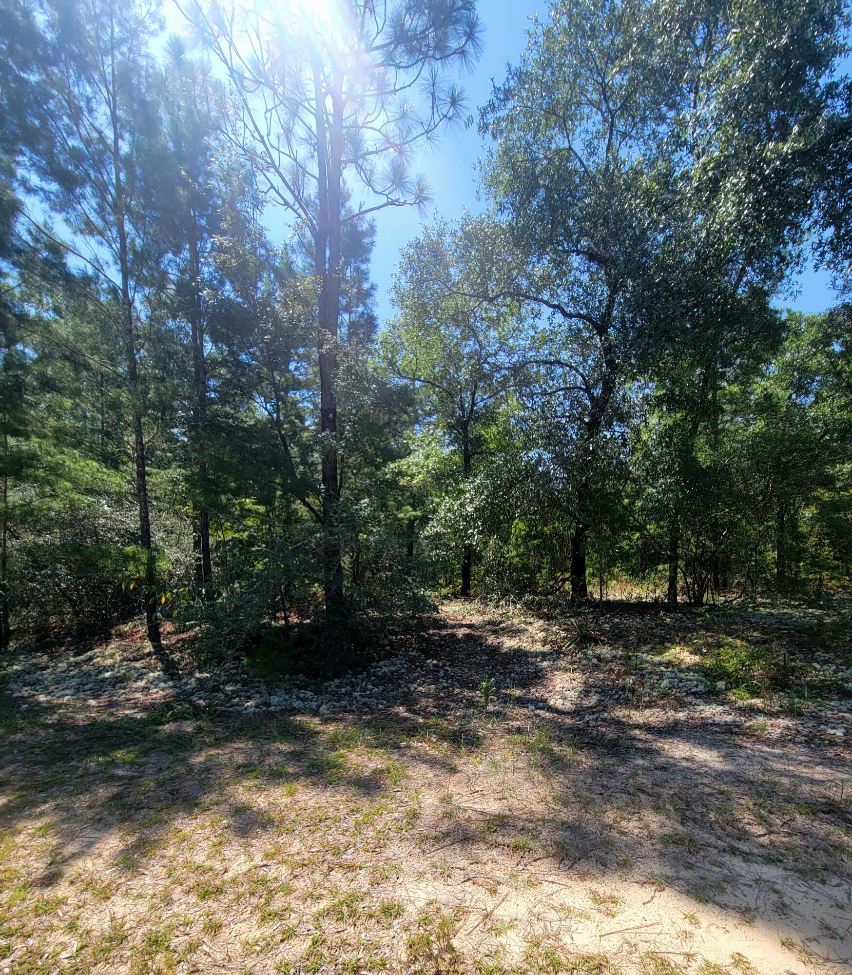 OAKWOOD HILLS UNIT 5 - Land