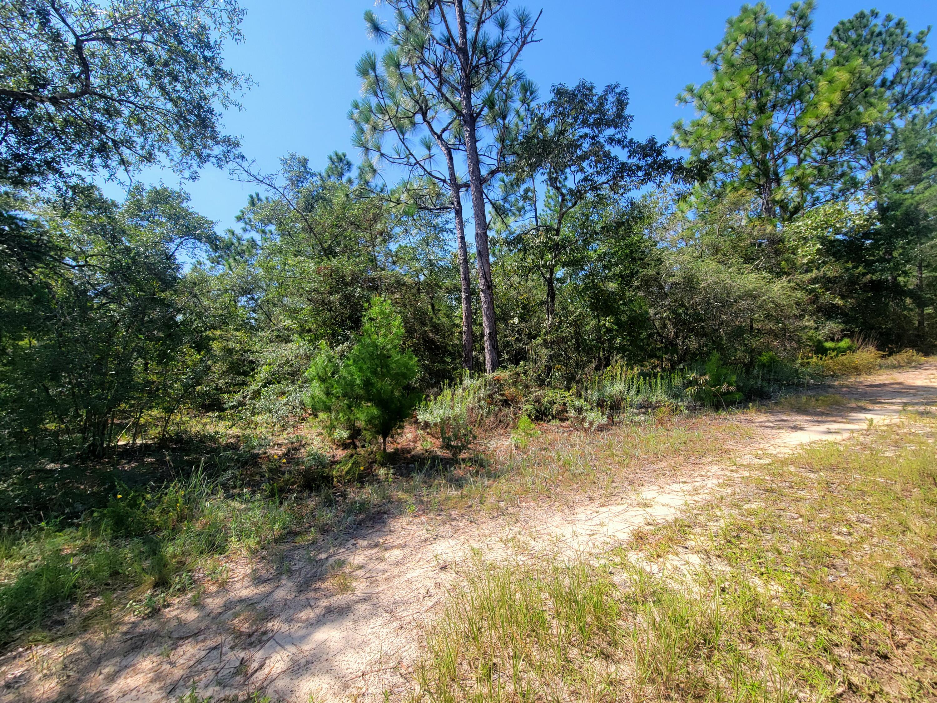 OAKWOOD HILLS UNIT 5 - Land