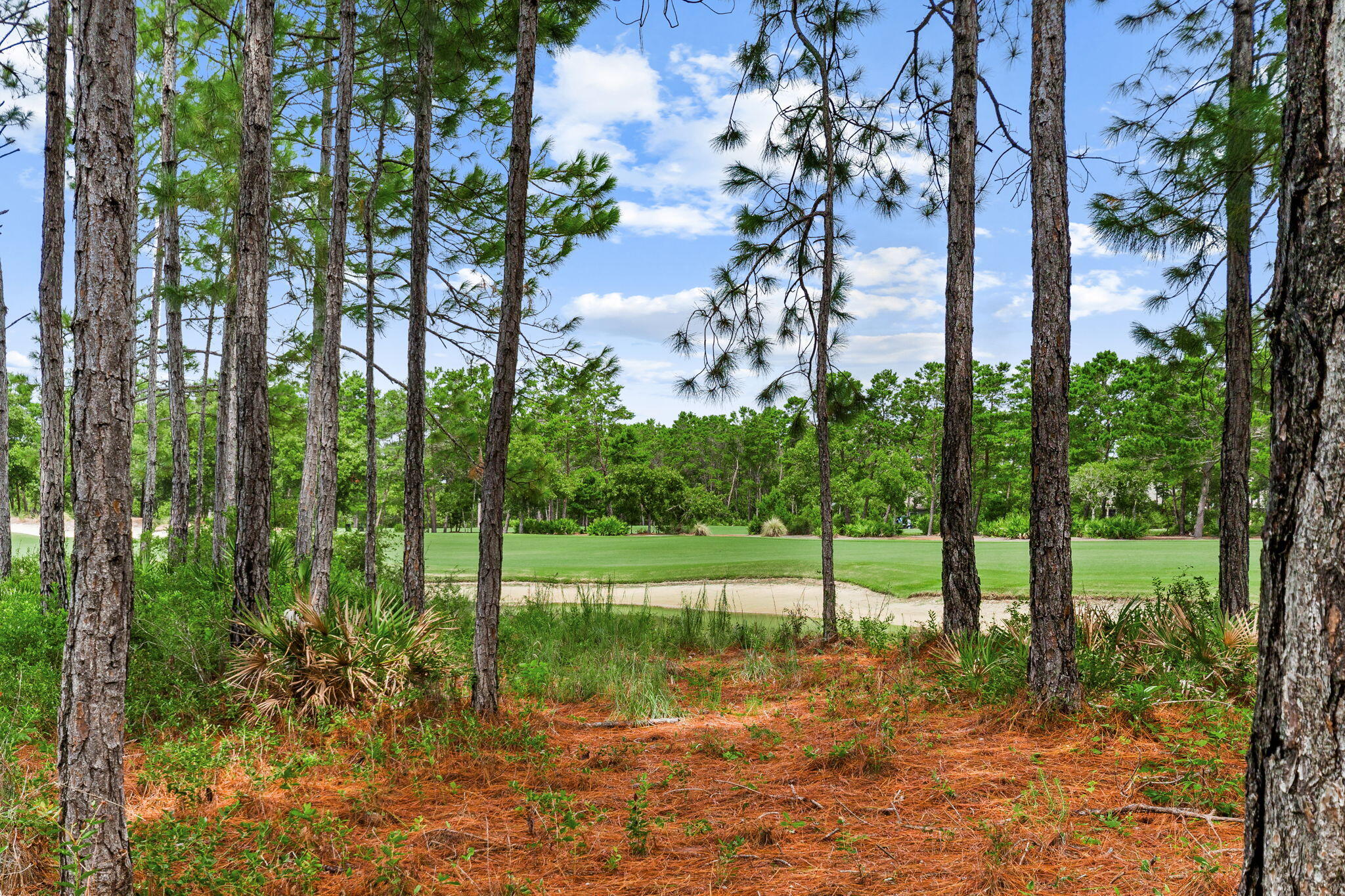 WILD HERON - CLUBSIDE II - Residential