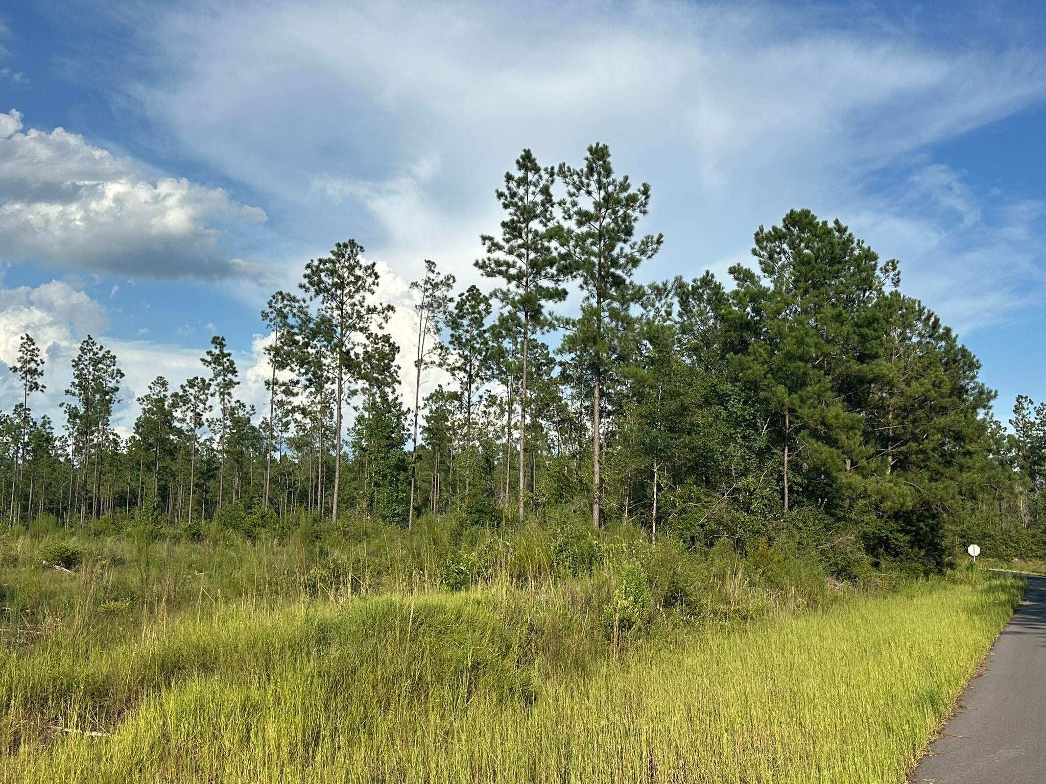 NO RECORDED SUBDIVISION - Land