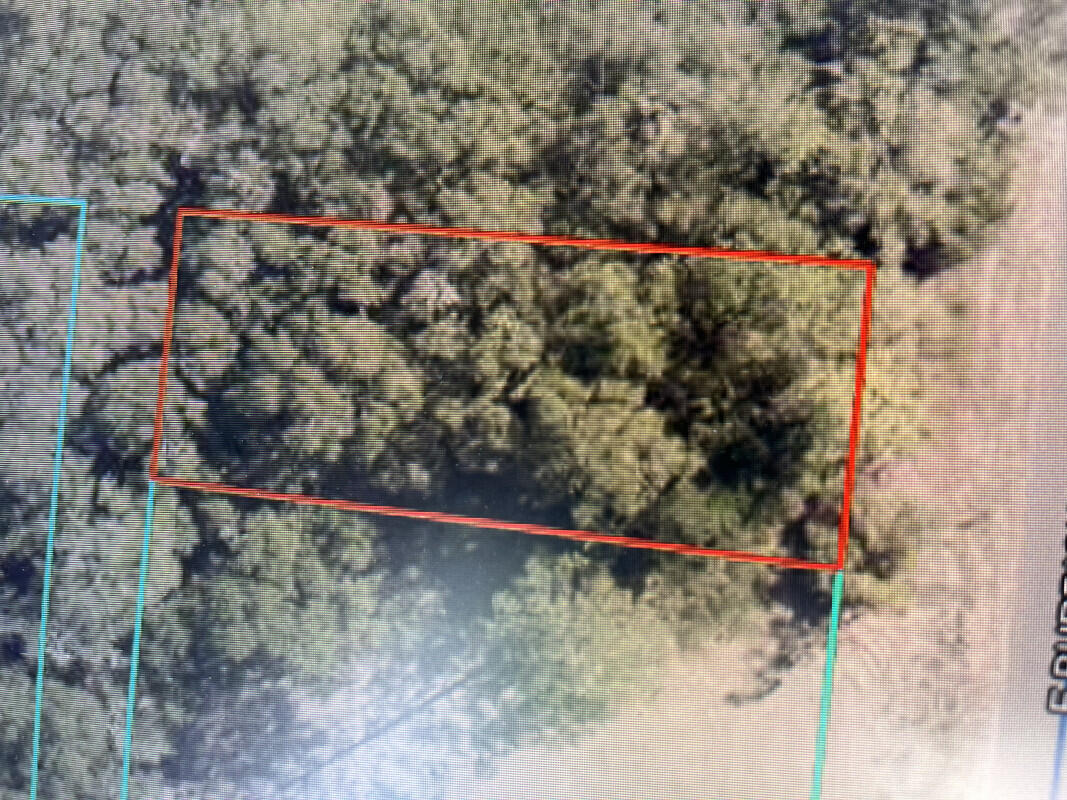 High and Dry Building Lot within Defuniak City Limits. Nice wooded and private property.  Build your new home or hold for investment in this growing area while prices are still low.  All City Utilities available.  Survey available.