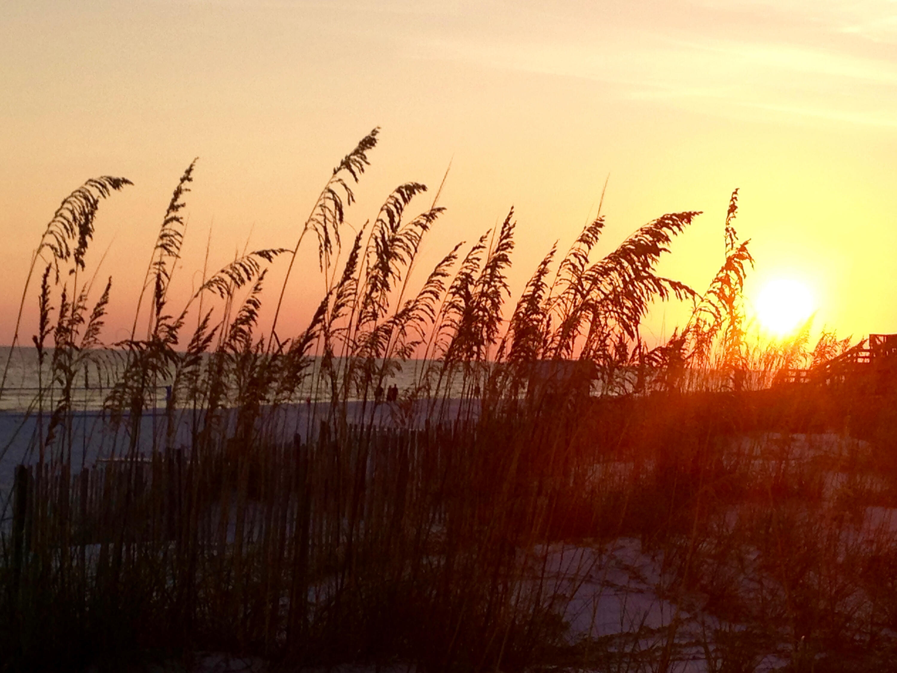 SAILMAKER COVE - Land