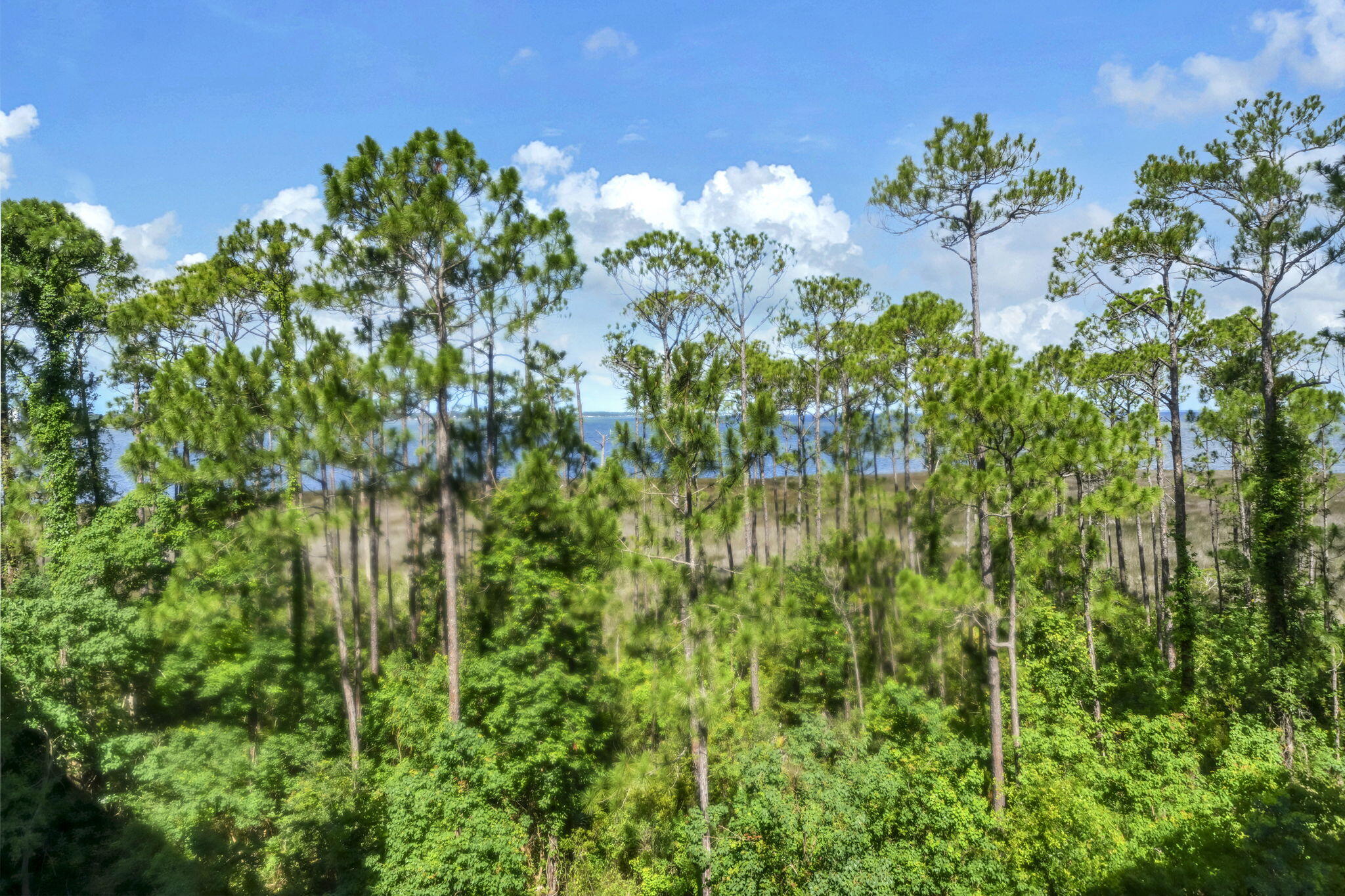 BAHIA CONDO - Residential