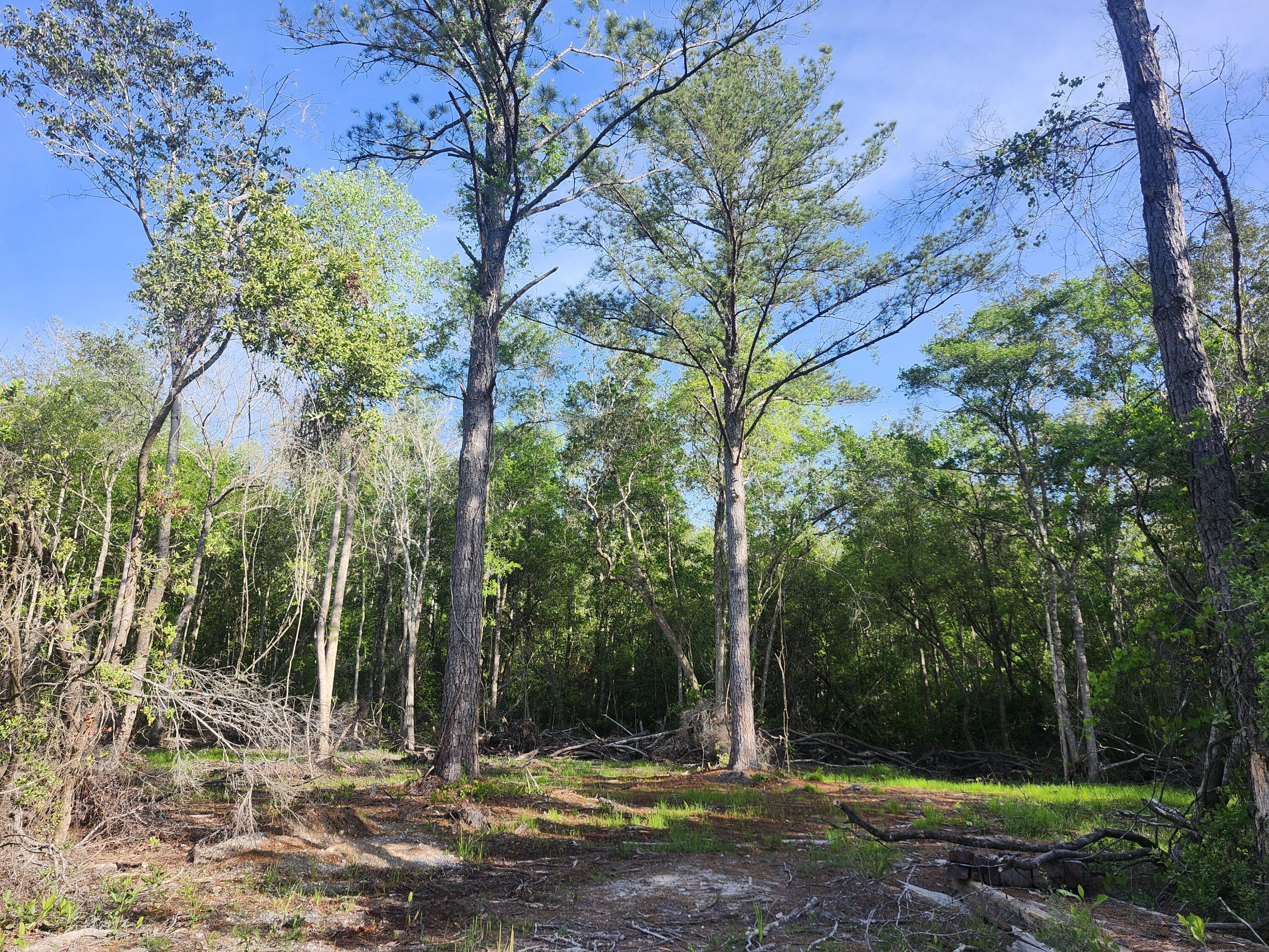SHOAL RIVER PLANTATION UNREC S/D - Land
