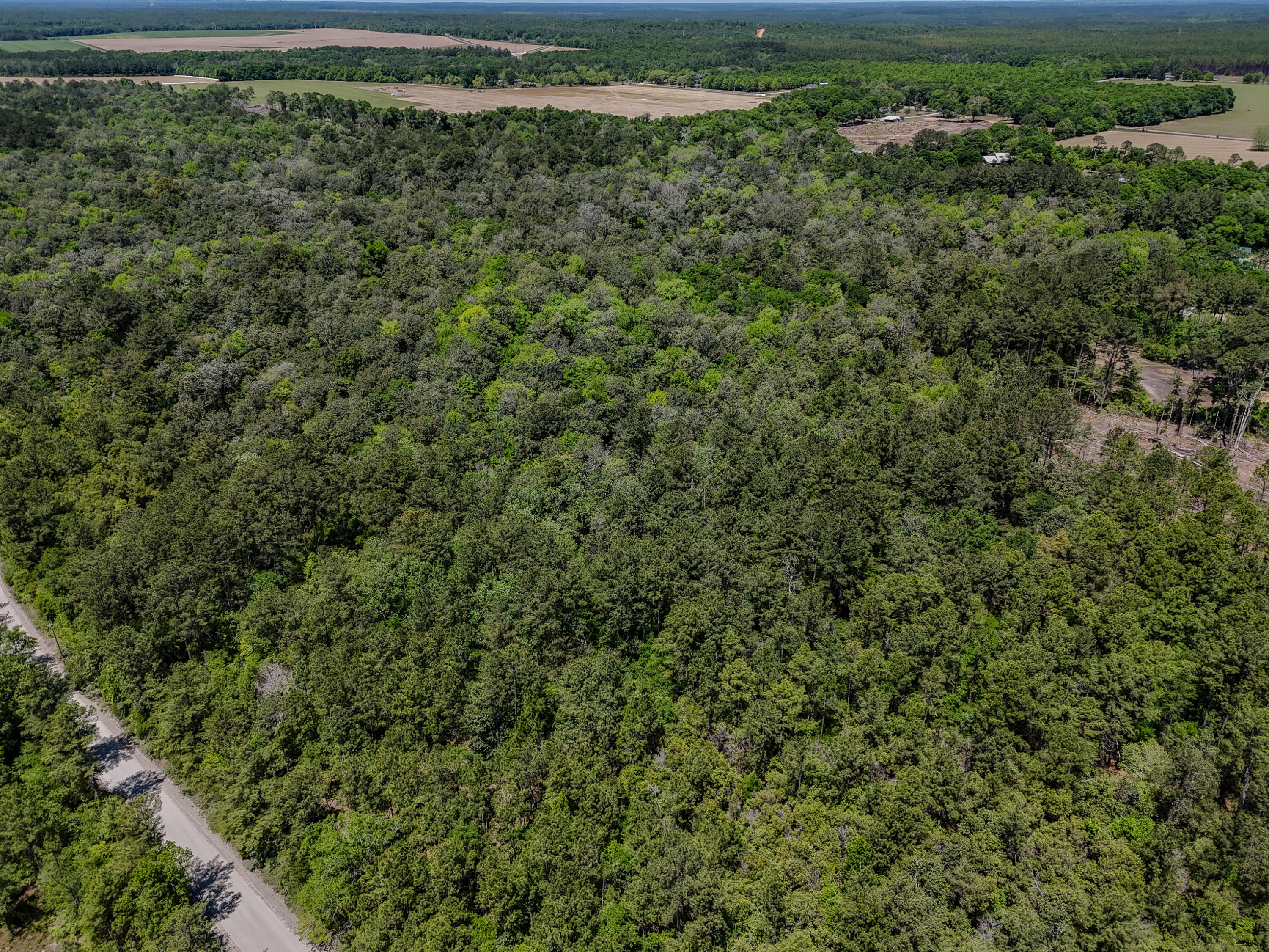 SHOAL RIVER PLANTATION UNREC S/D - Land