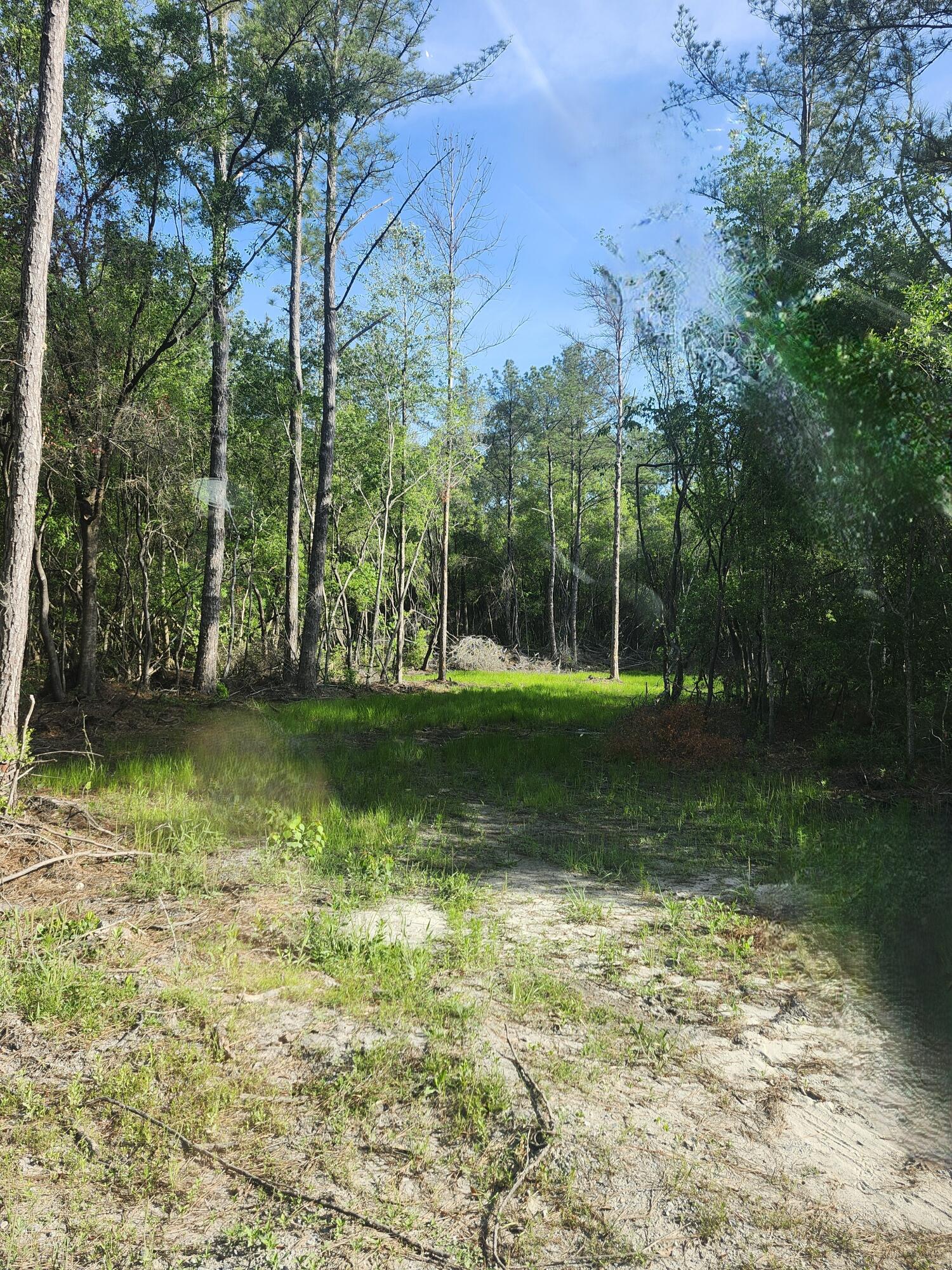 SHOAL RIVER PLANTATION UNREC S/D - Land