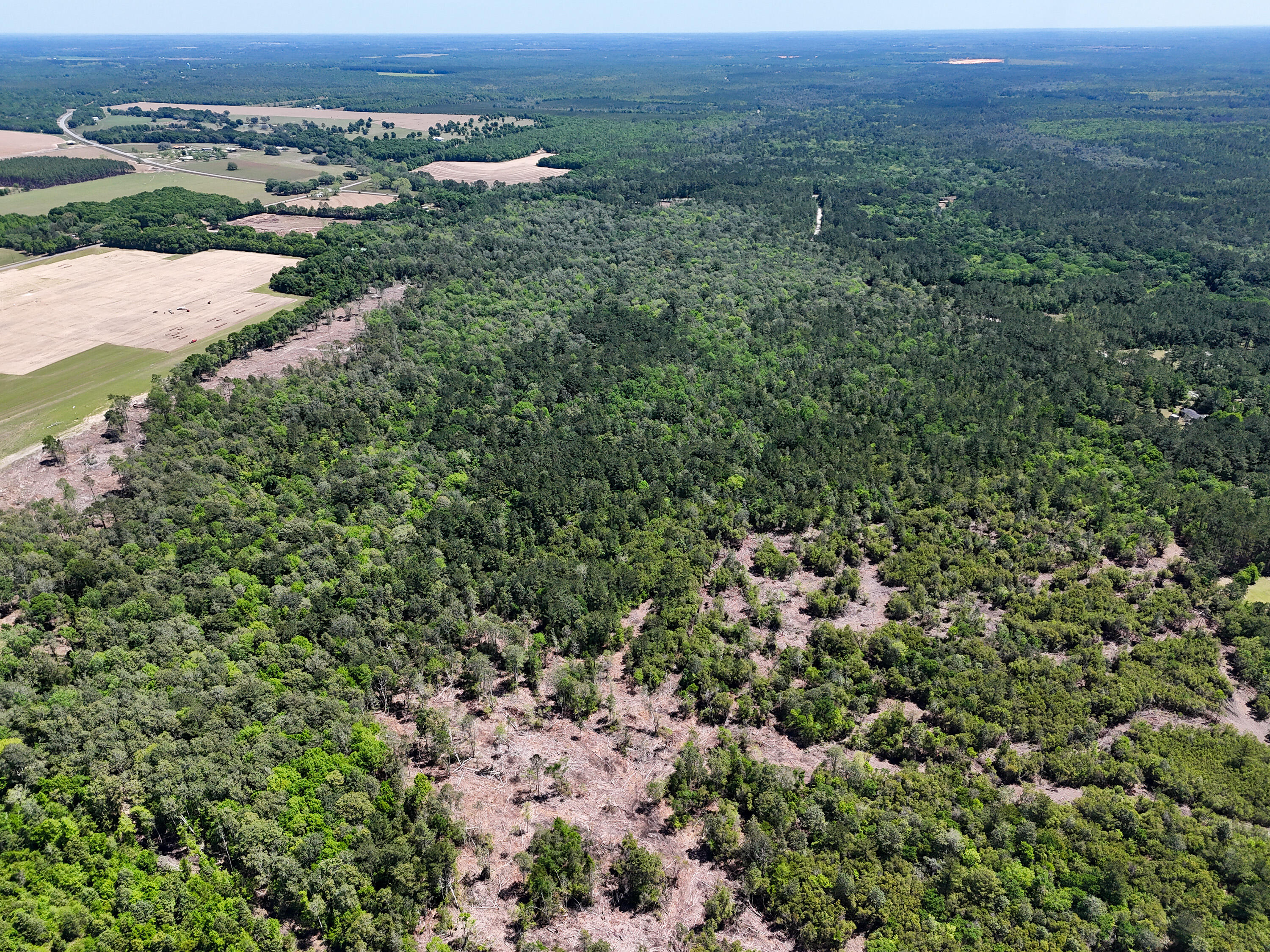 SHOAL RIVER PLANTATION UNREC S/D - Land