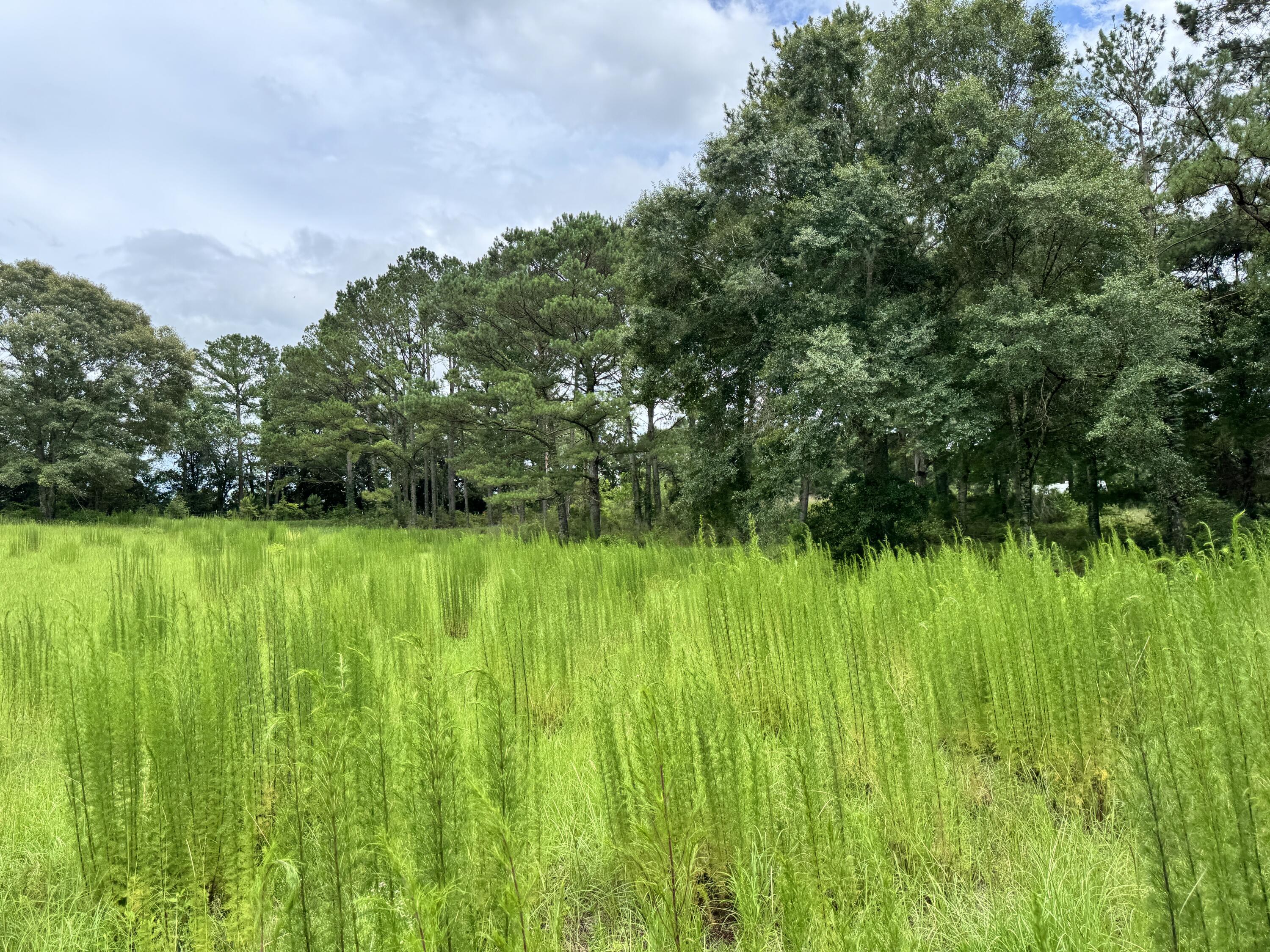 Countywide Residential - Land
