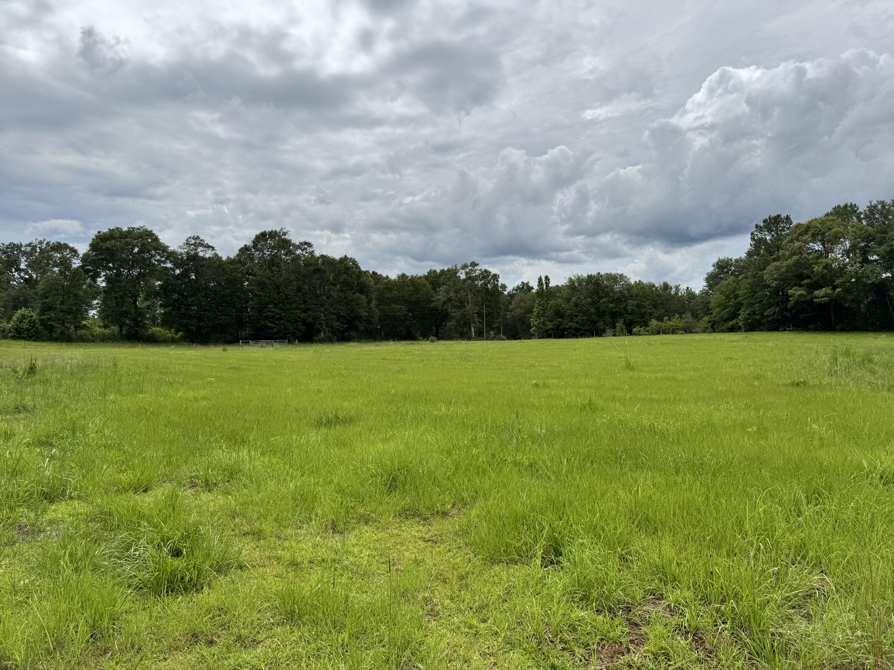 Countywide Residential - Land