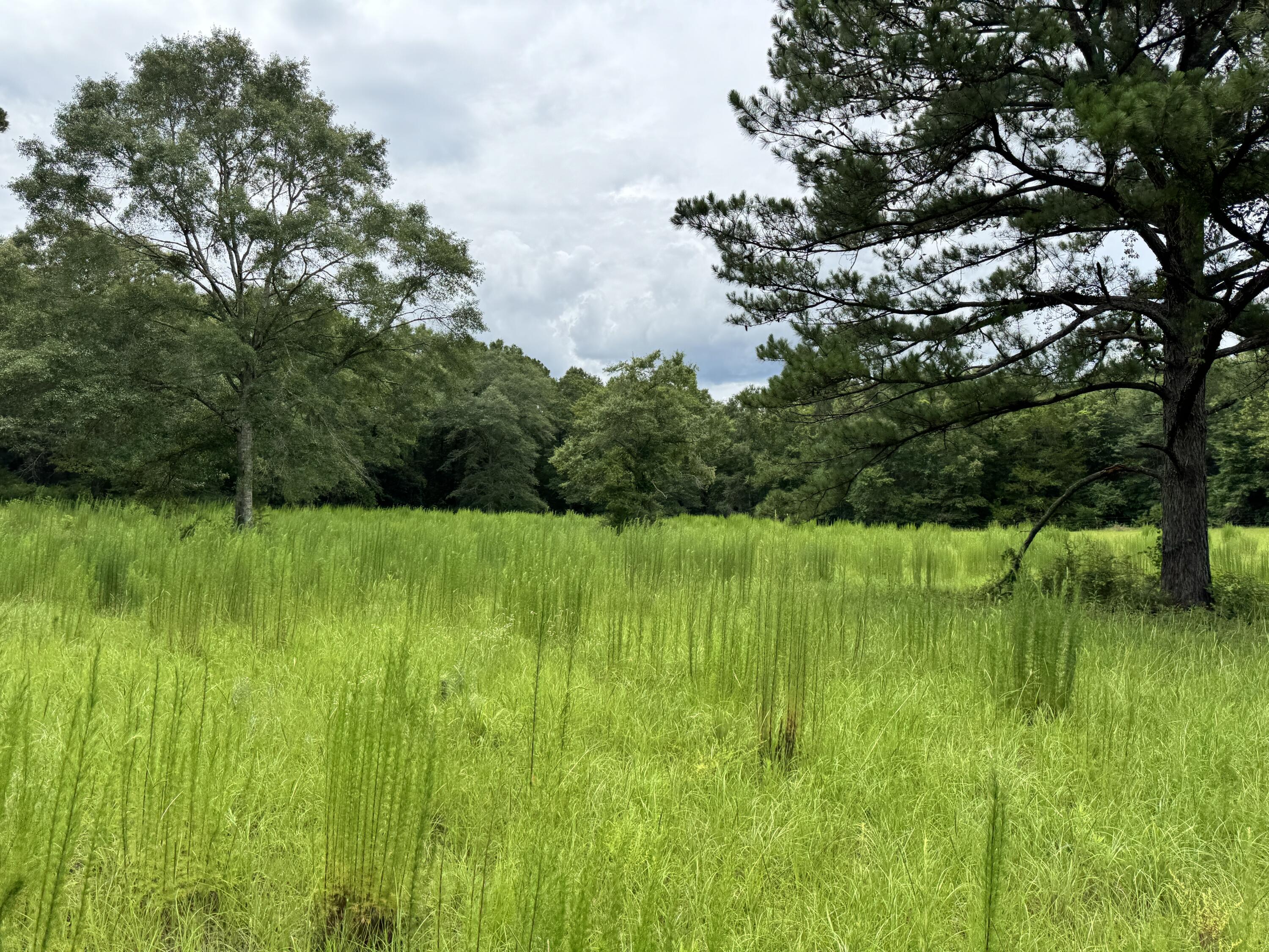 Countywide Residential - Land